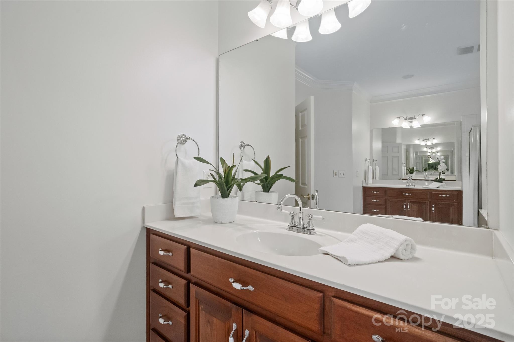 3958 Mourning Dove Drive Property Photo 25