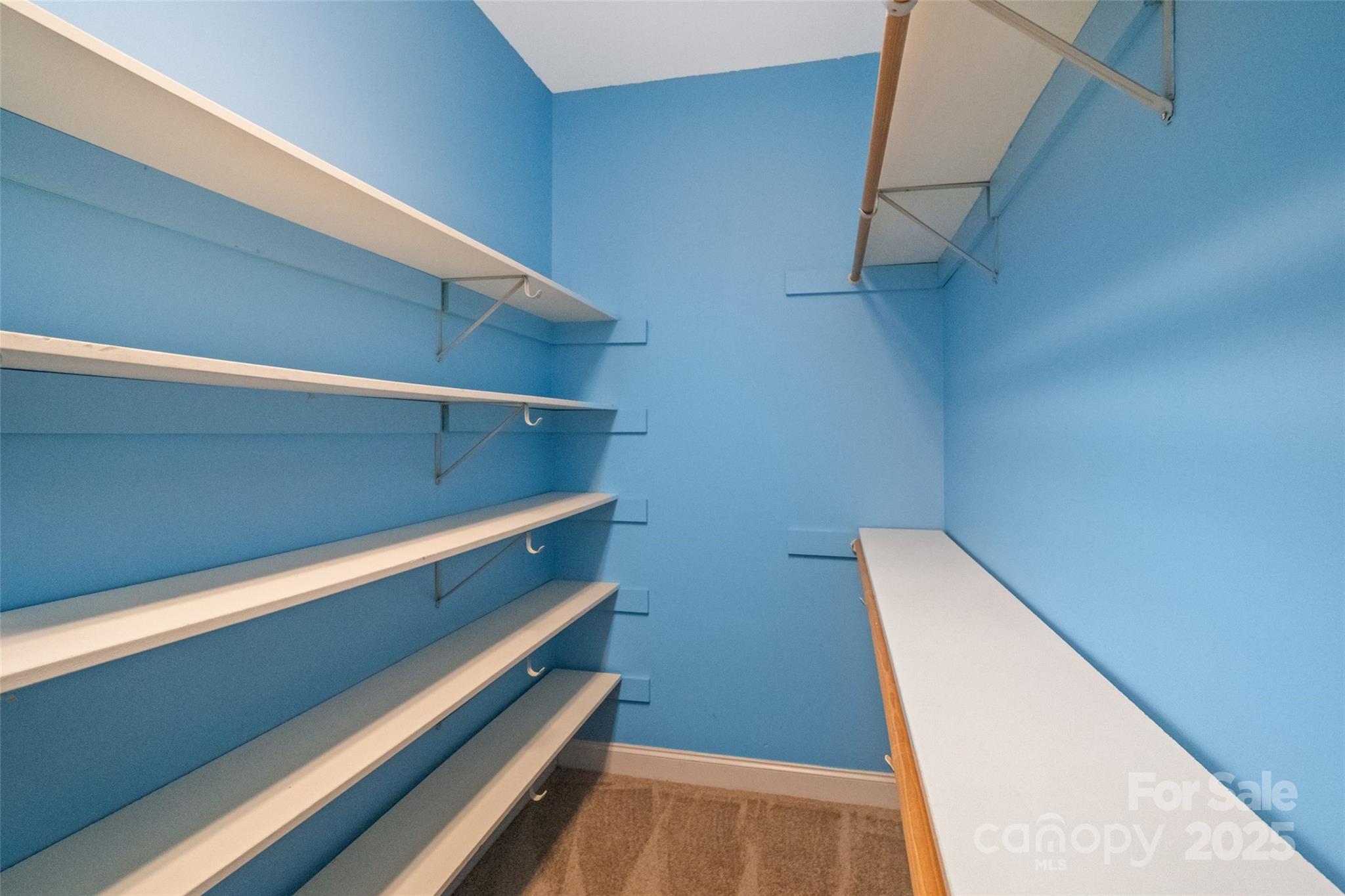 3958 Mourning Dove Drive Property Photo 34