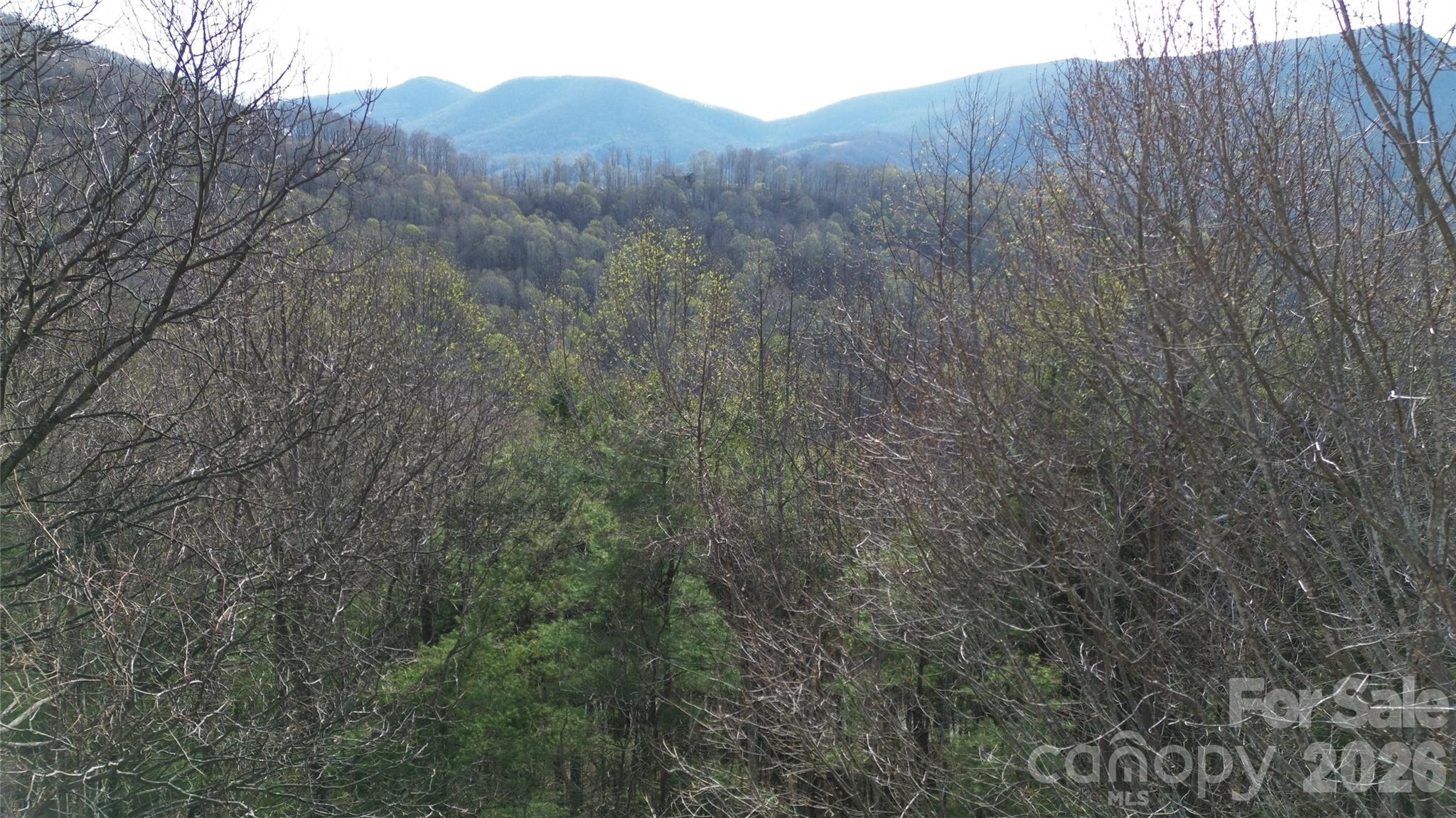 0000 Abbie Trail Property Photo 1