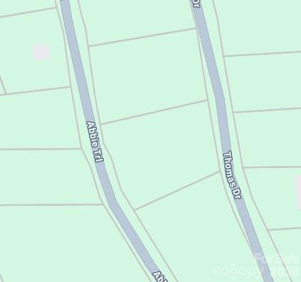 0000 Abbie Trail Property Photo 6