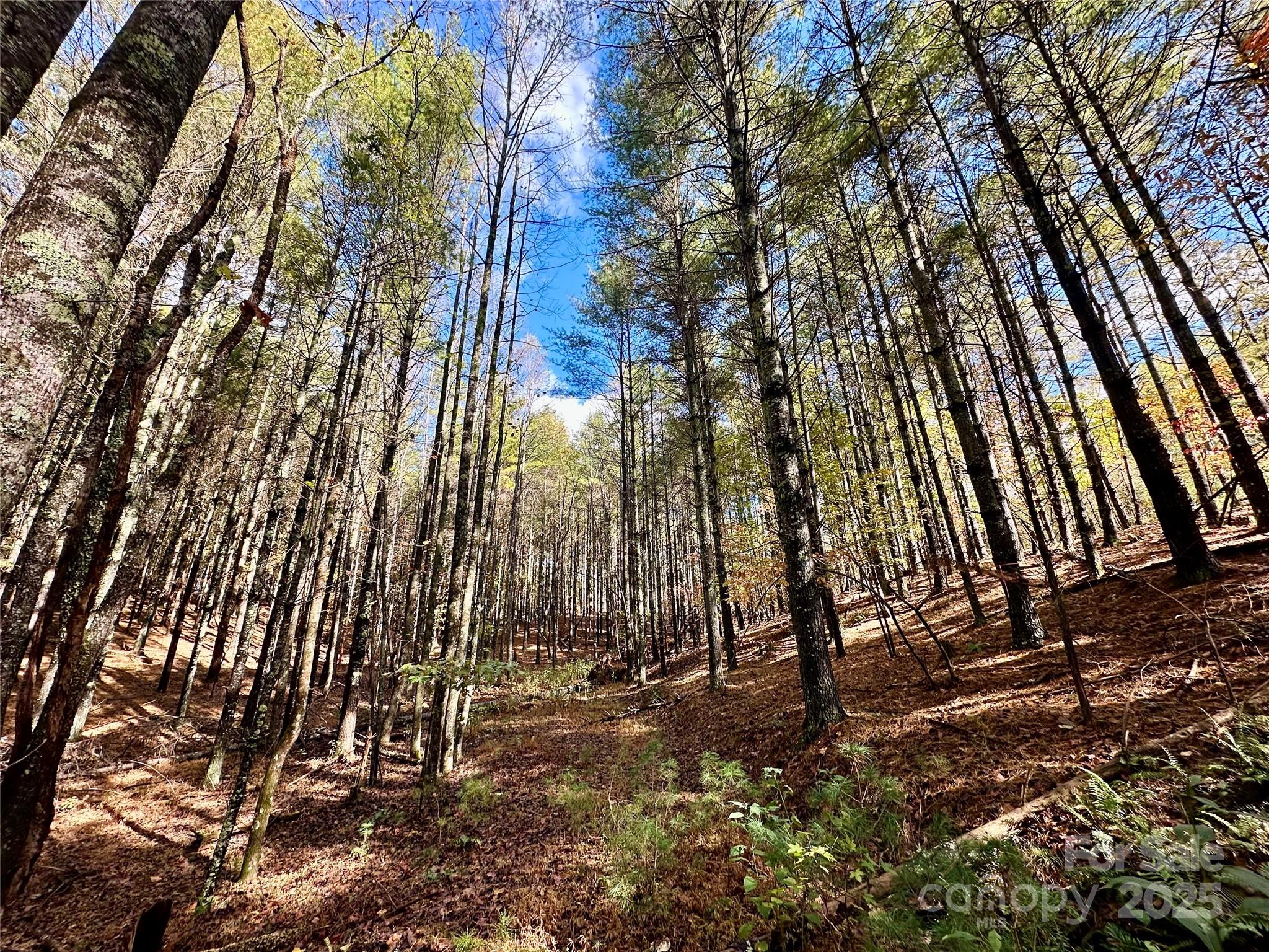 146 Bream Flats Drive 40 Property Photo 1