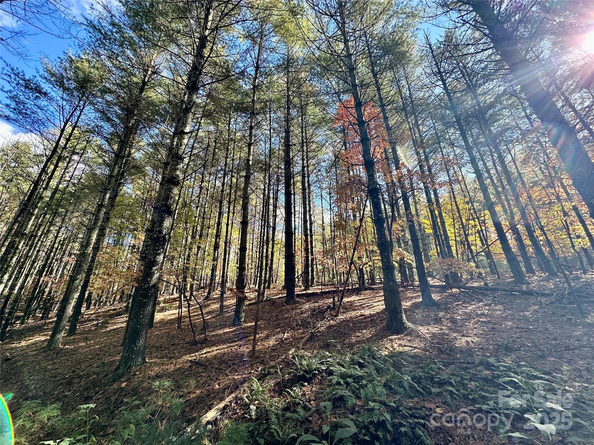 146 Bream Flats Drive 40 Property Photo 5