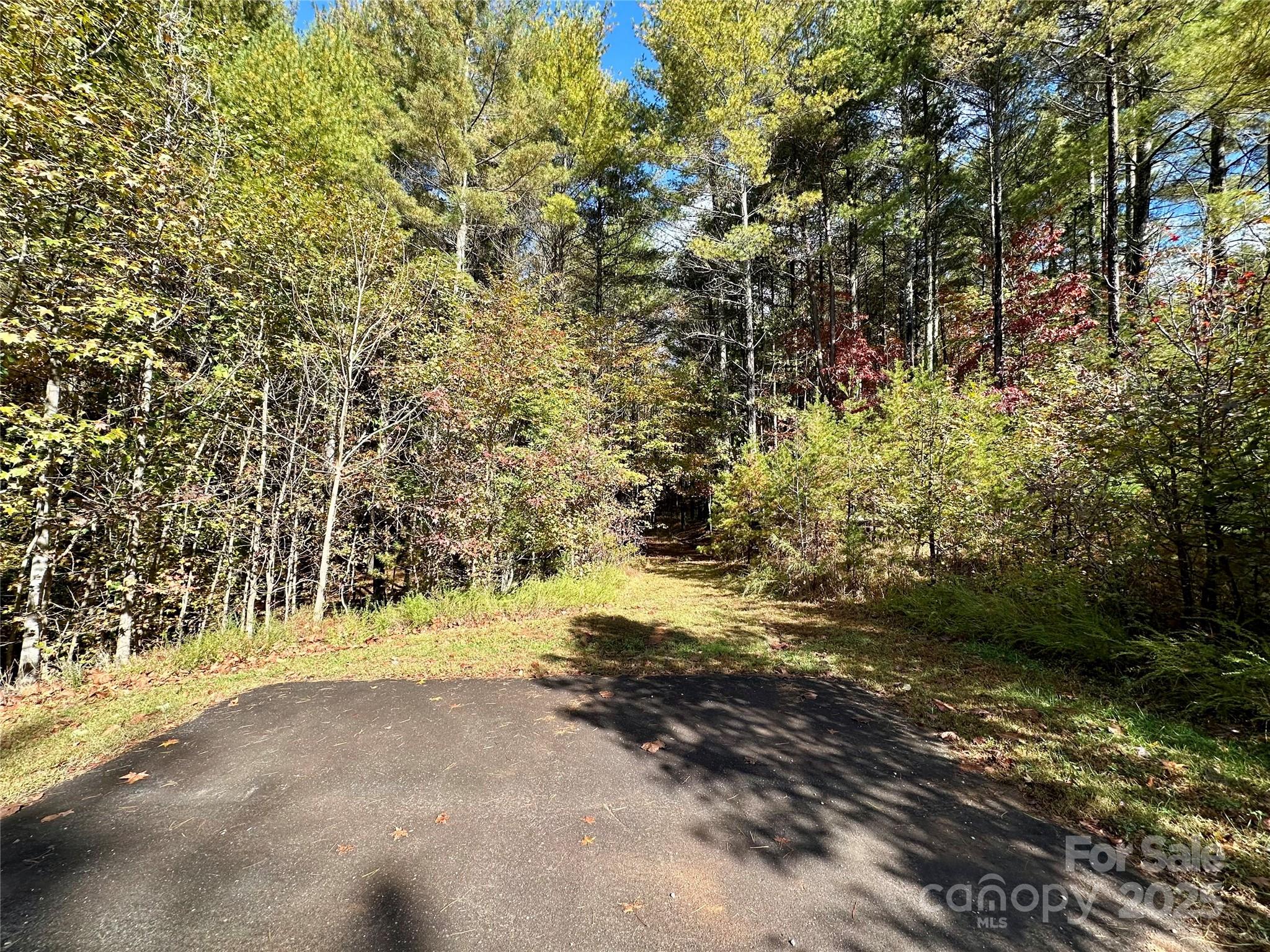 146 Bream Flats Drive 40 Property Photo 7