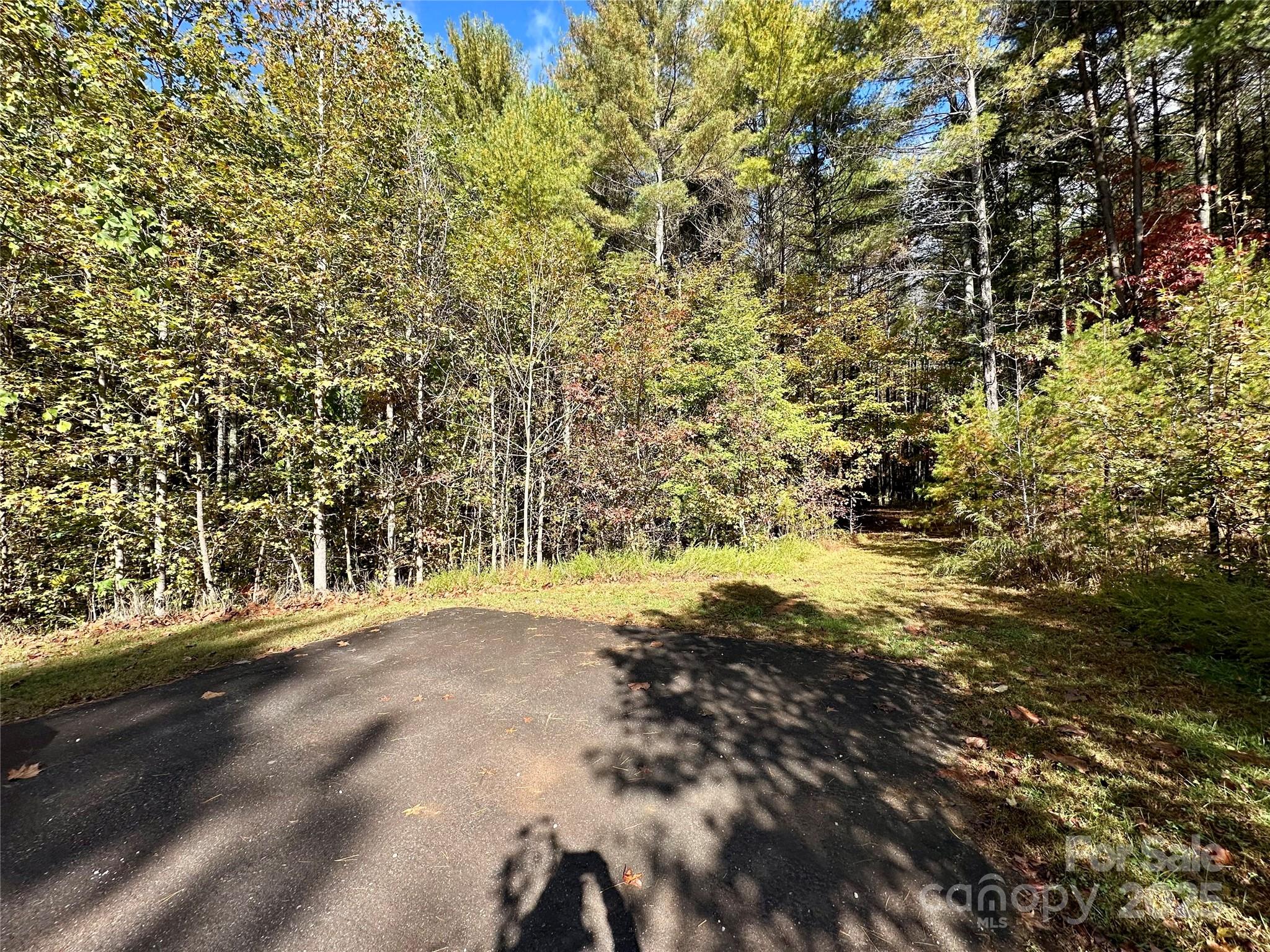 146 Bream Flats Drive 40 Property Photo 8