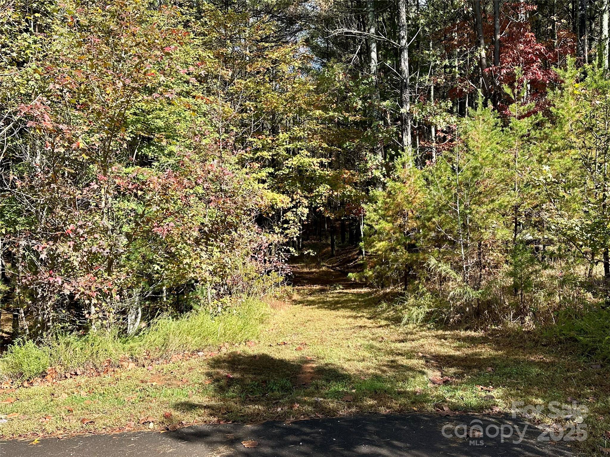 146 Bream Flats Drive 40 Property Photo 9