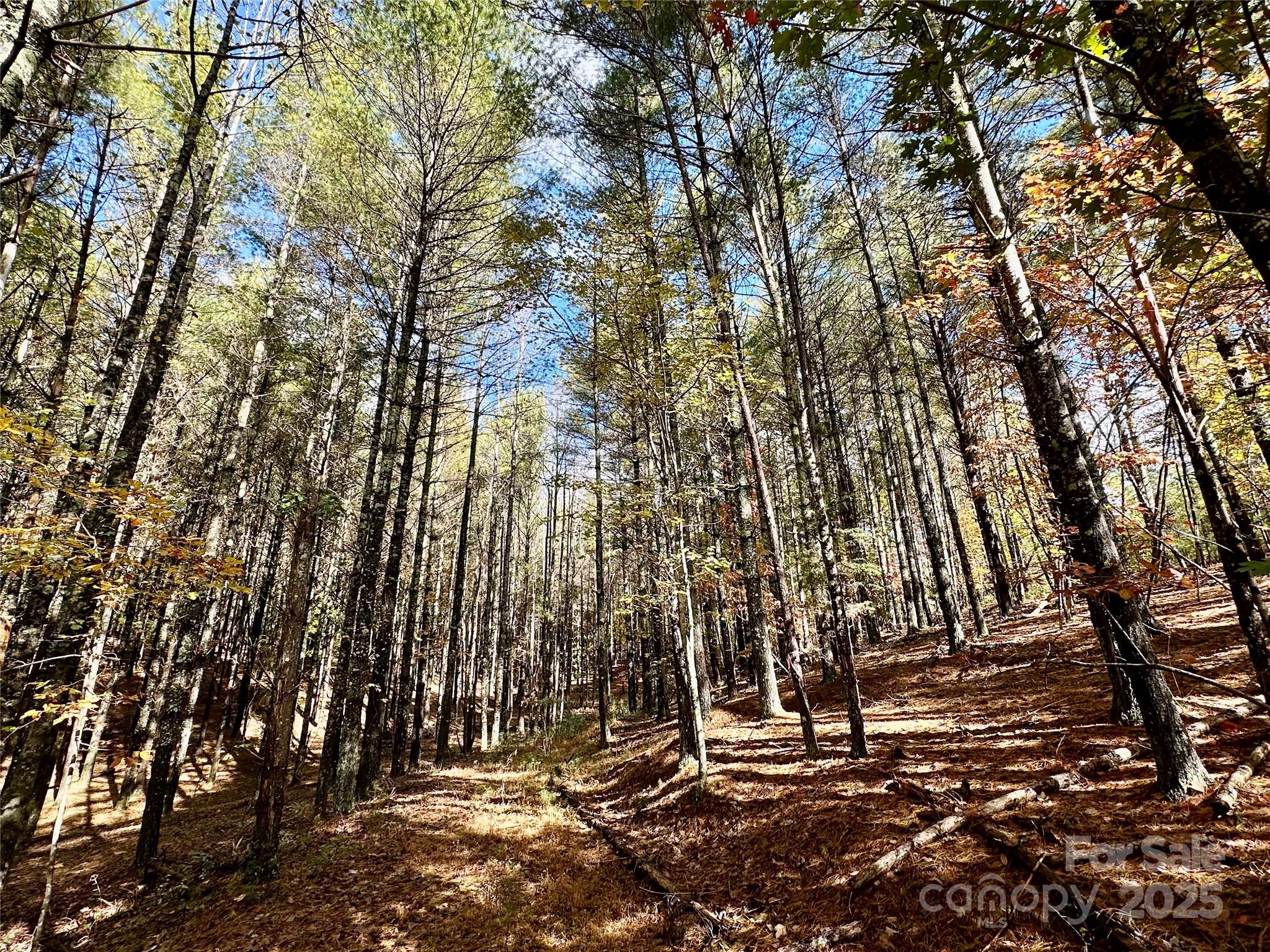 146 Bream Flats Drive 40 Property Photo 10