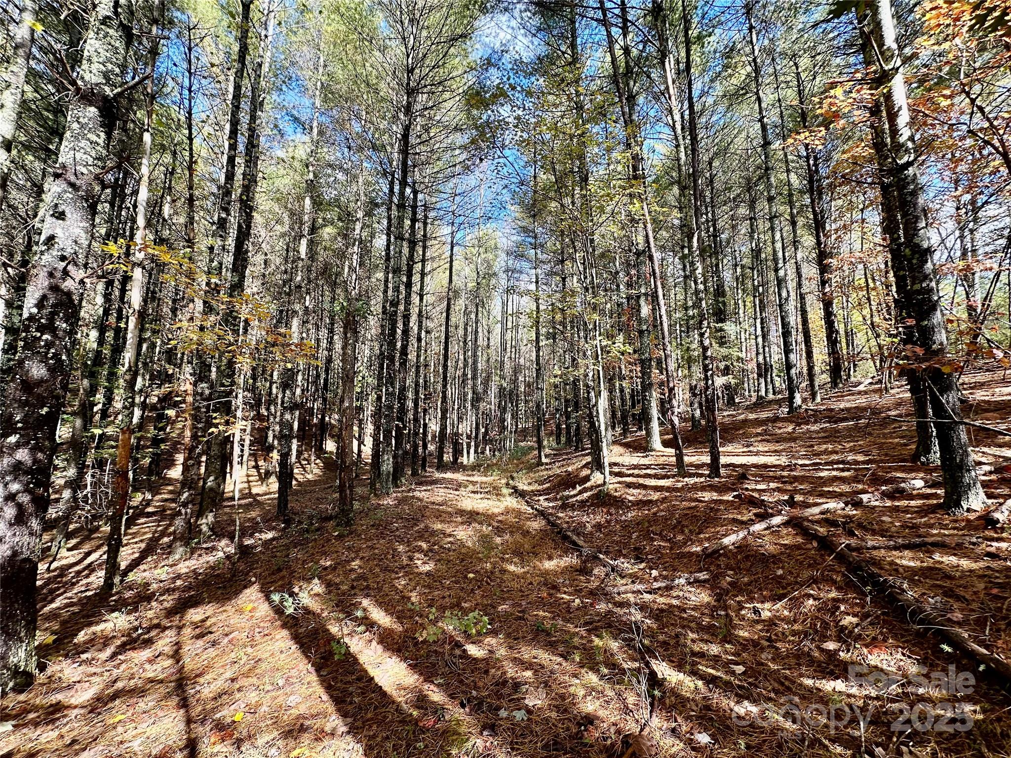 146 Bream Flats Drive 40 Property Photo 11