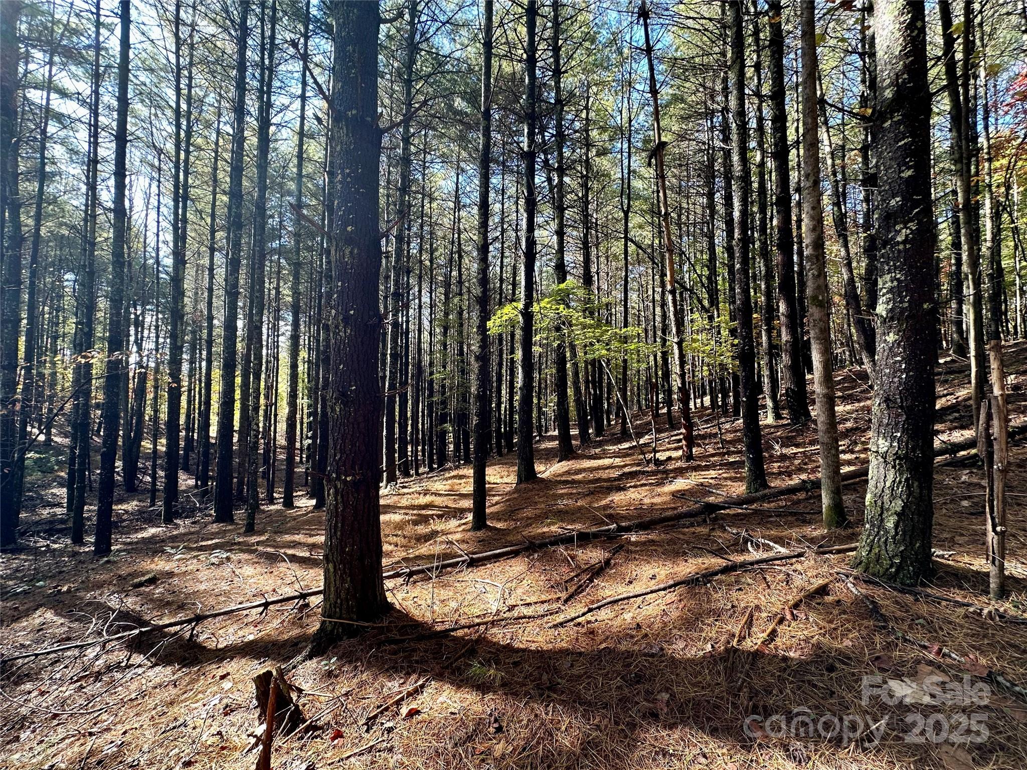 146 Bream Flats Drive 40 Property Photo 12