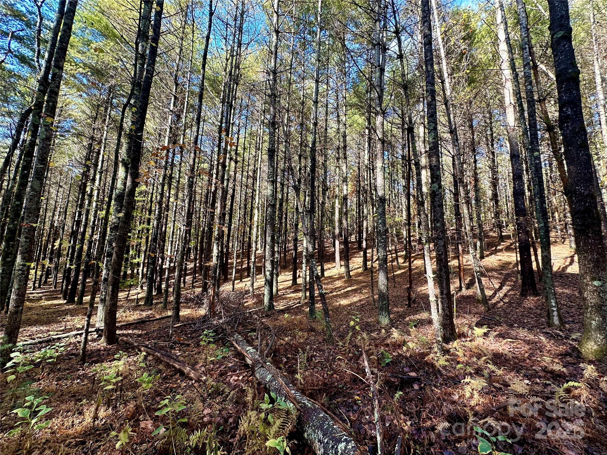 146 Bream Flats Drive 40 Property Photo 13