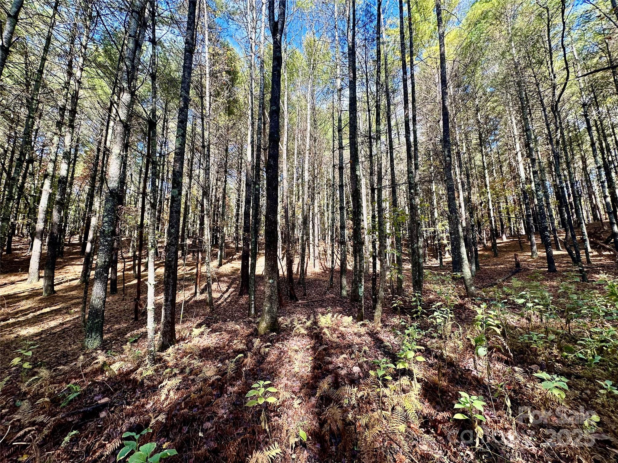 146 Bream Flats Drive 40 Property Photo 14