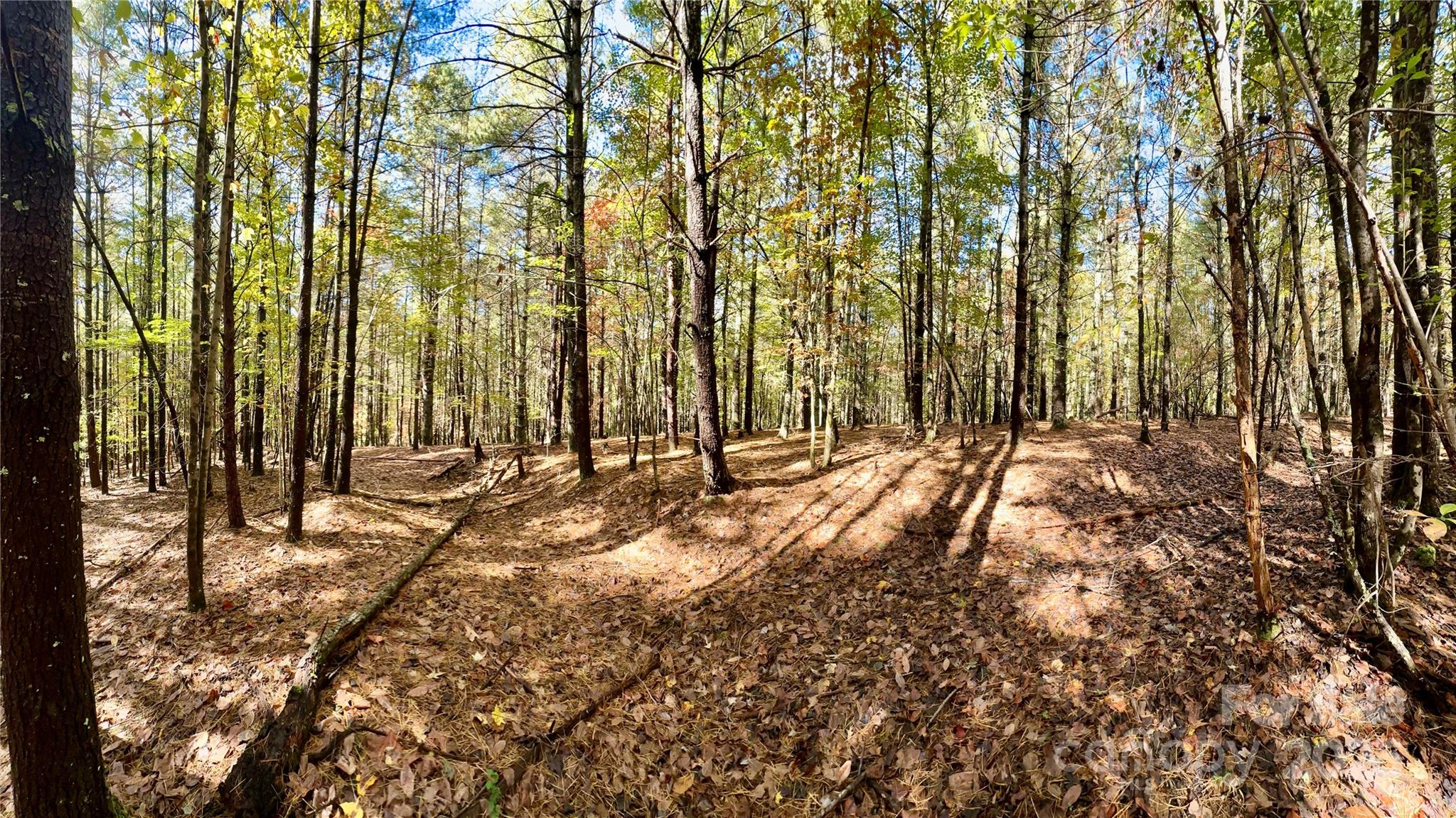 146 Bream Flats Drive 40 Property Photo 15