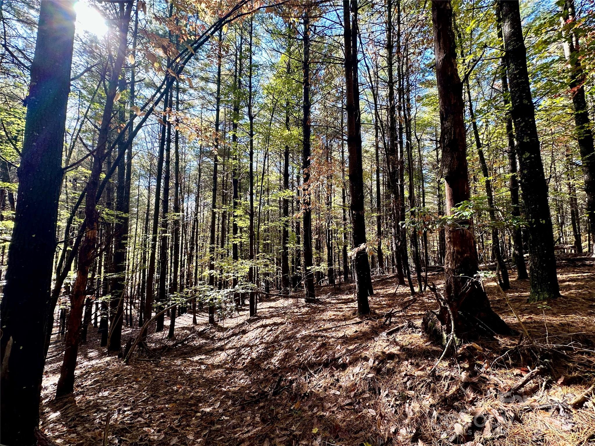 146 Bream Flats Drive 40 Property Photo 23