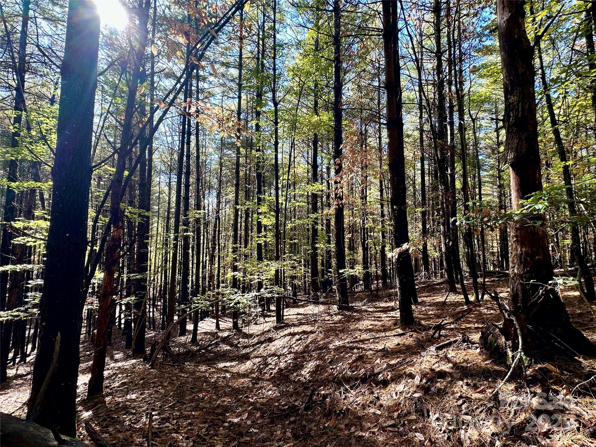 146 Bream Flats Drive 40 Property Photo 24