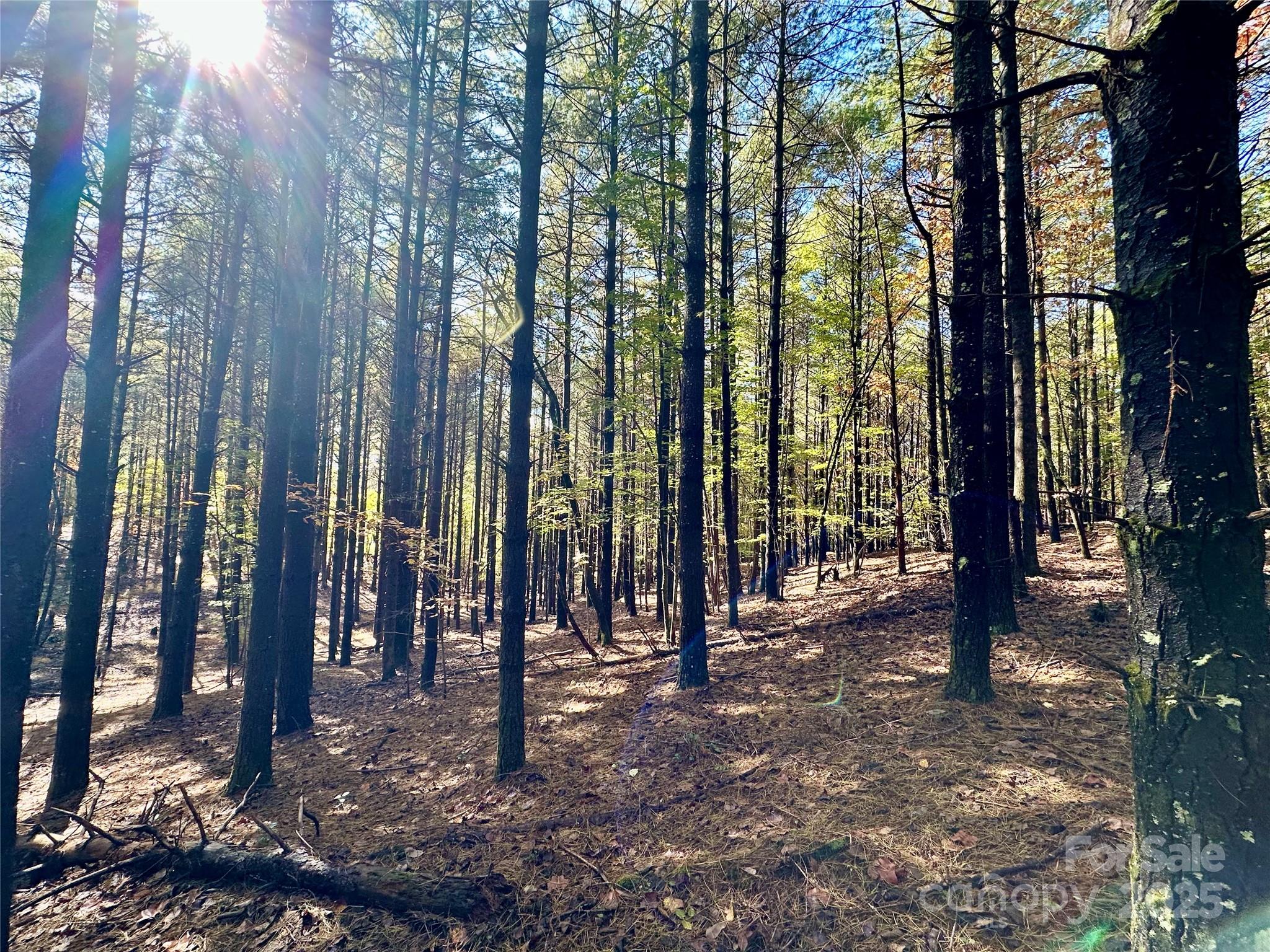 146 Bream Flats Drive 40 Property Photo 25