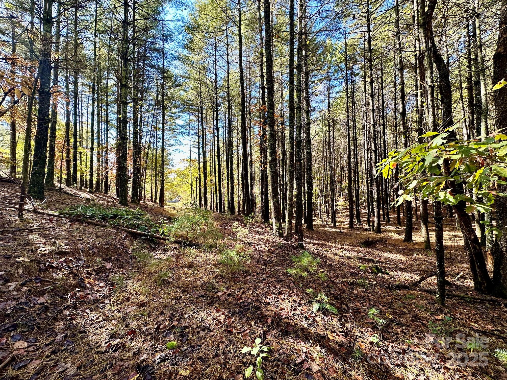 146 Bream Flats Drive 40 Property Photo 26