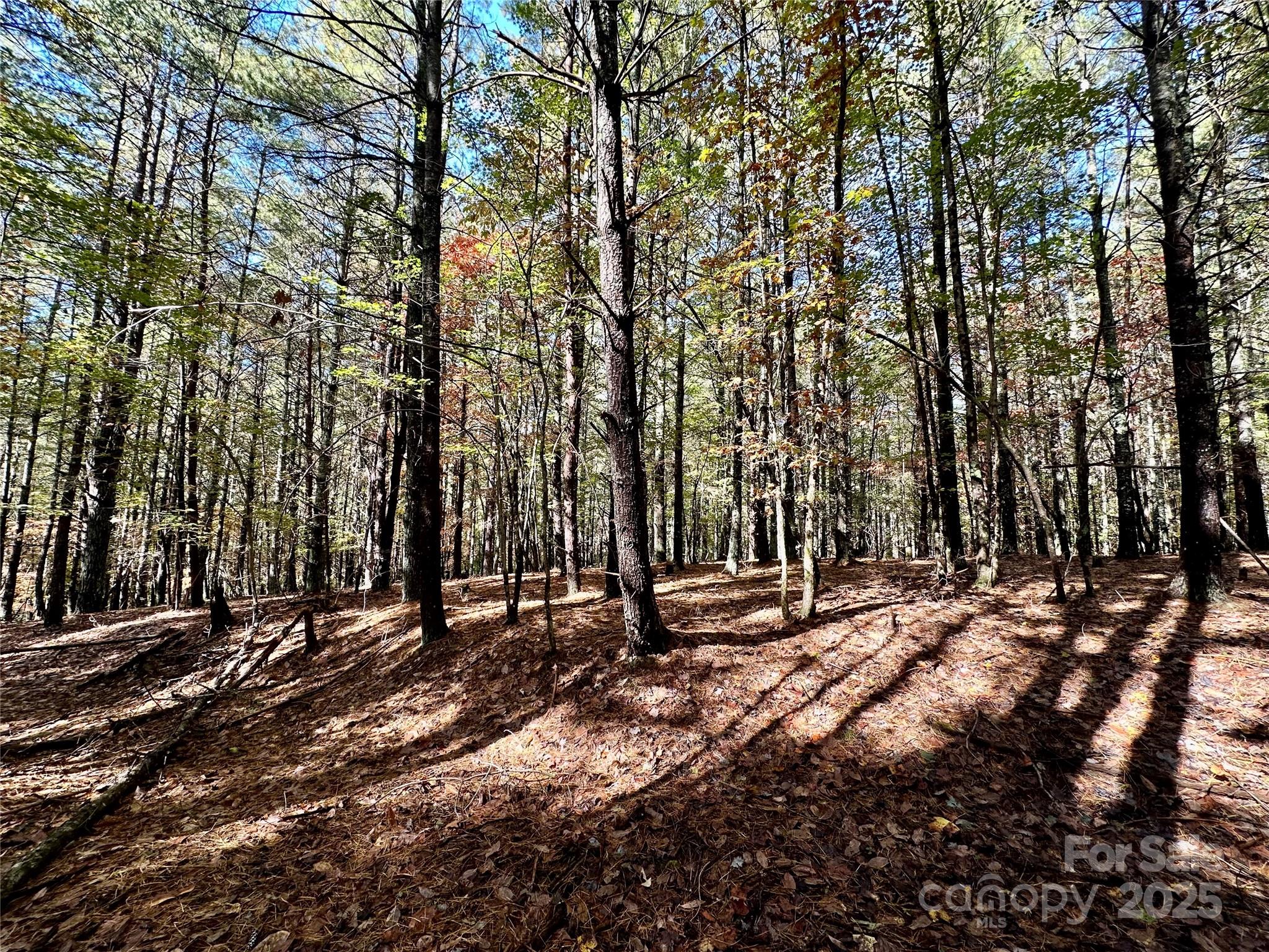 146 Bream Flats Drive 40 Property Photo 27