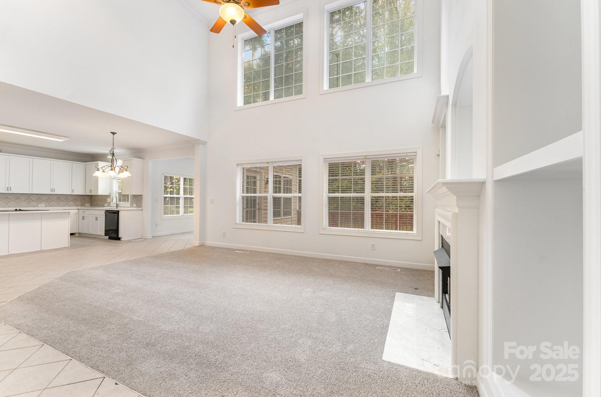 14333 Maclauren Lane Property Photo 19