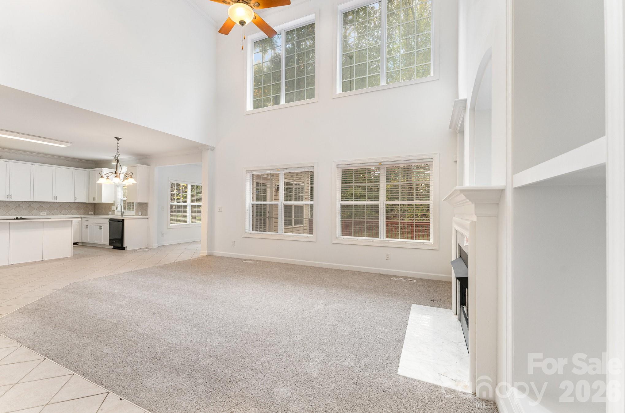 14333 Maclauren Lane Property Photo 19