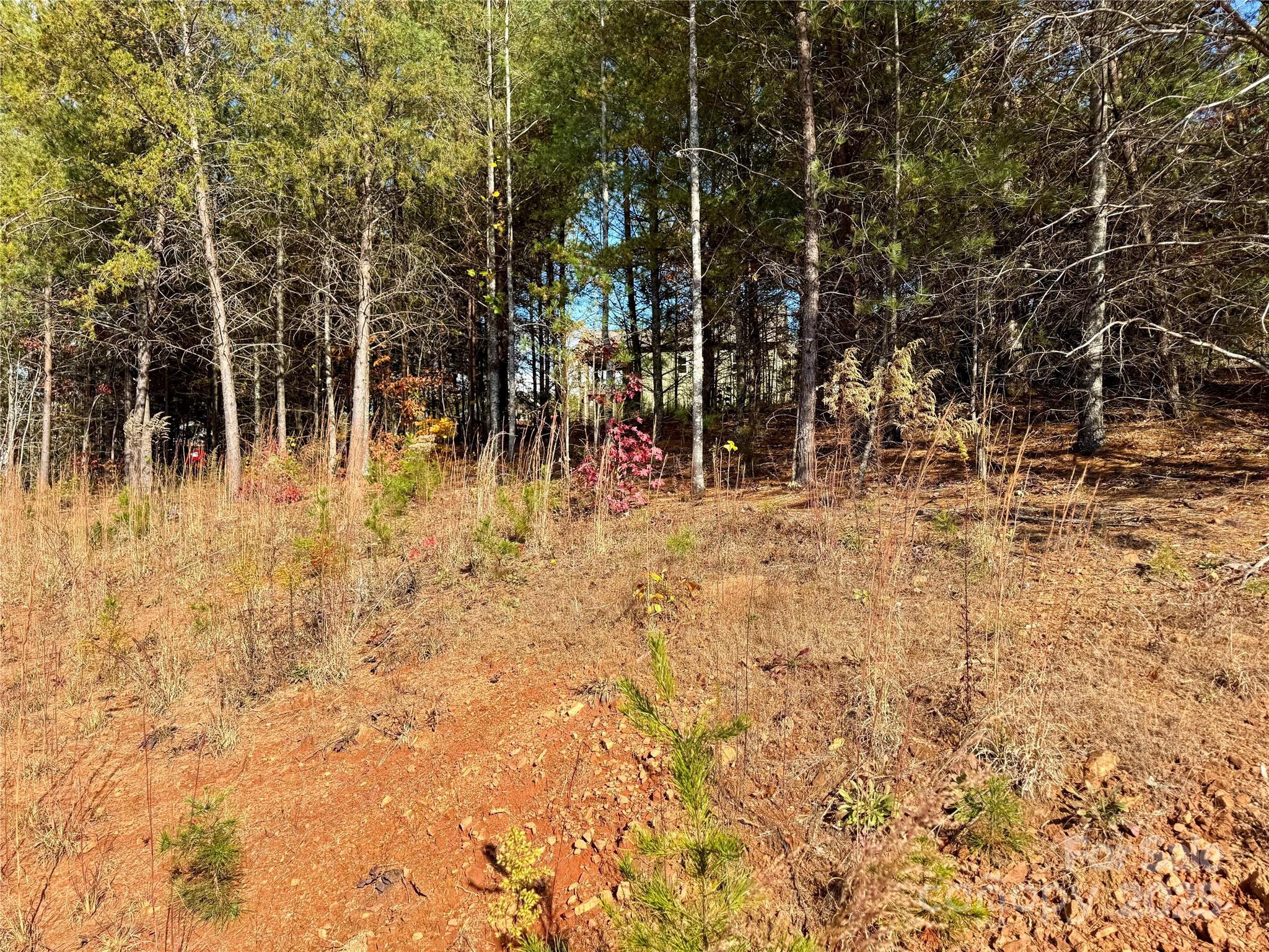 Lot G44, 2023 Shadow Ridge Trail G44 Property Photo 7