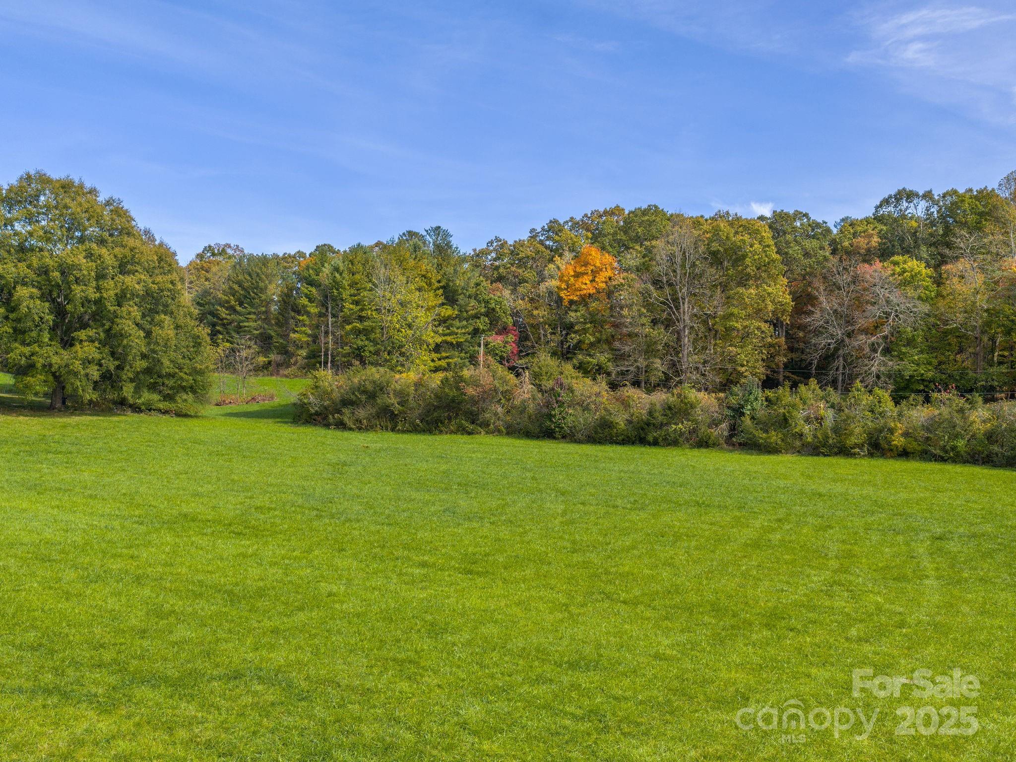 5620 Old Haywood Road Property Photo 5