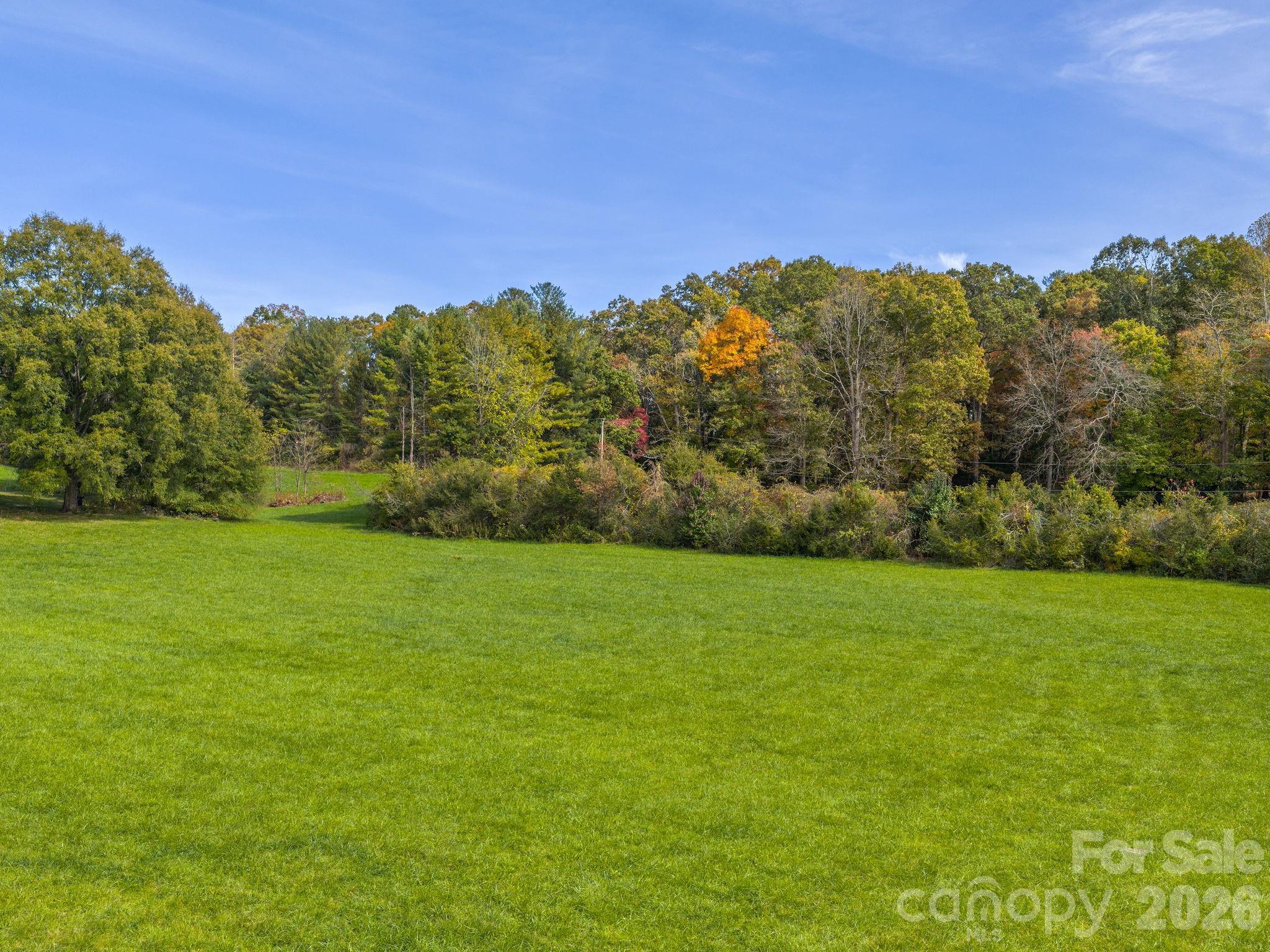 5620 Old Haywood Road Property Photo 8