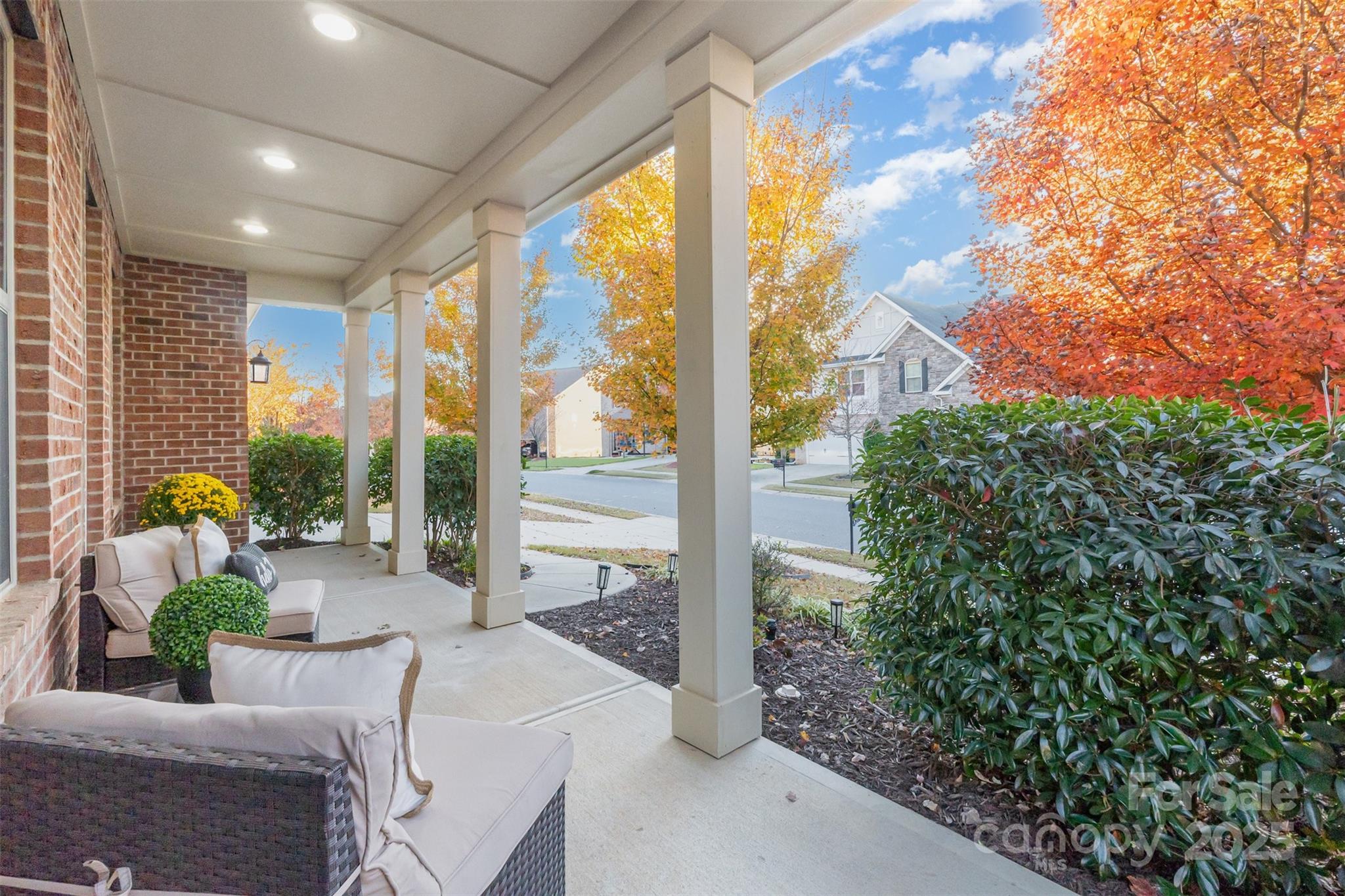 1331 Cilantro Court Property Photo 2