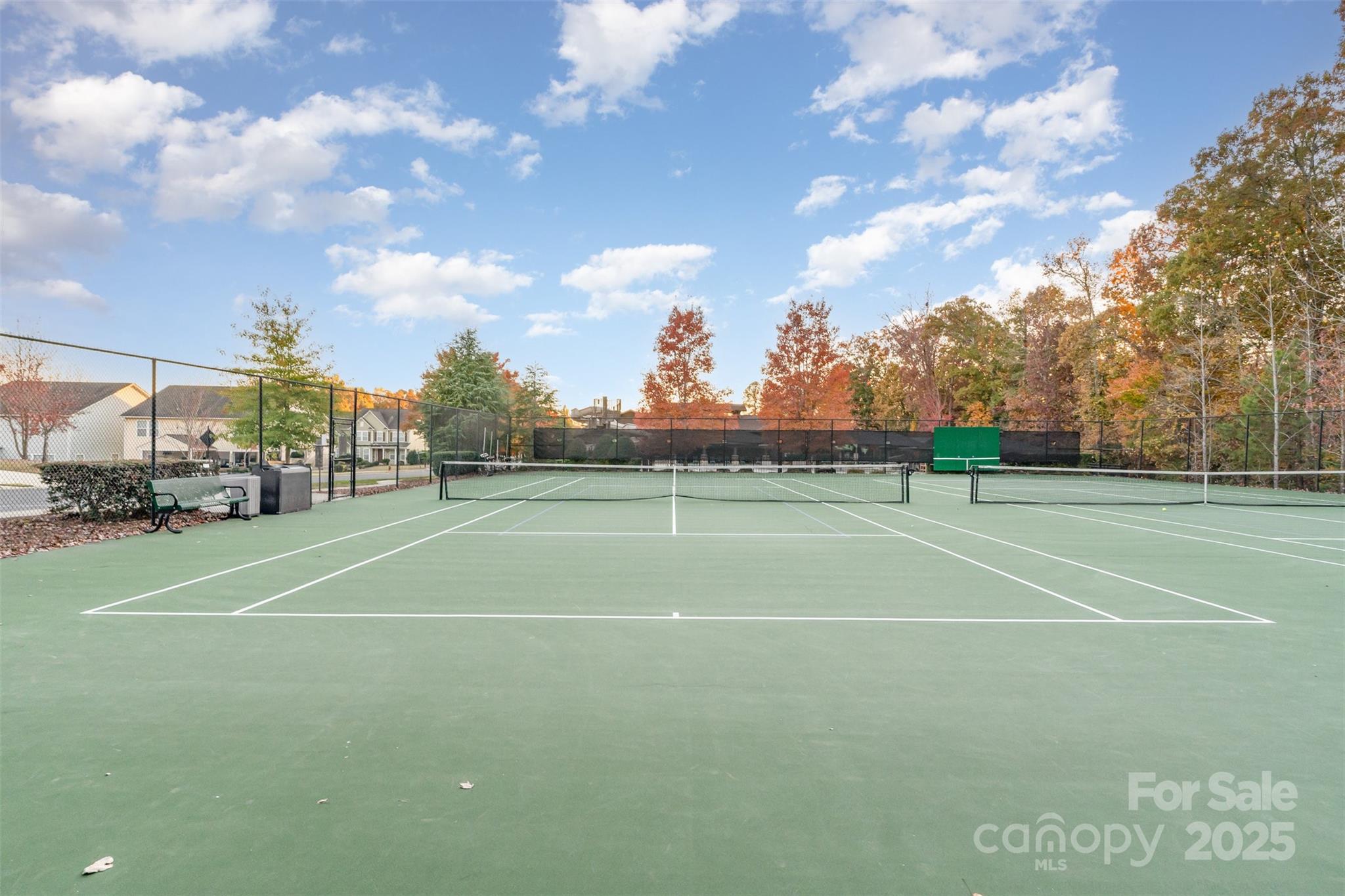 1331 Cilantro Court Property Photo 45