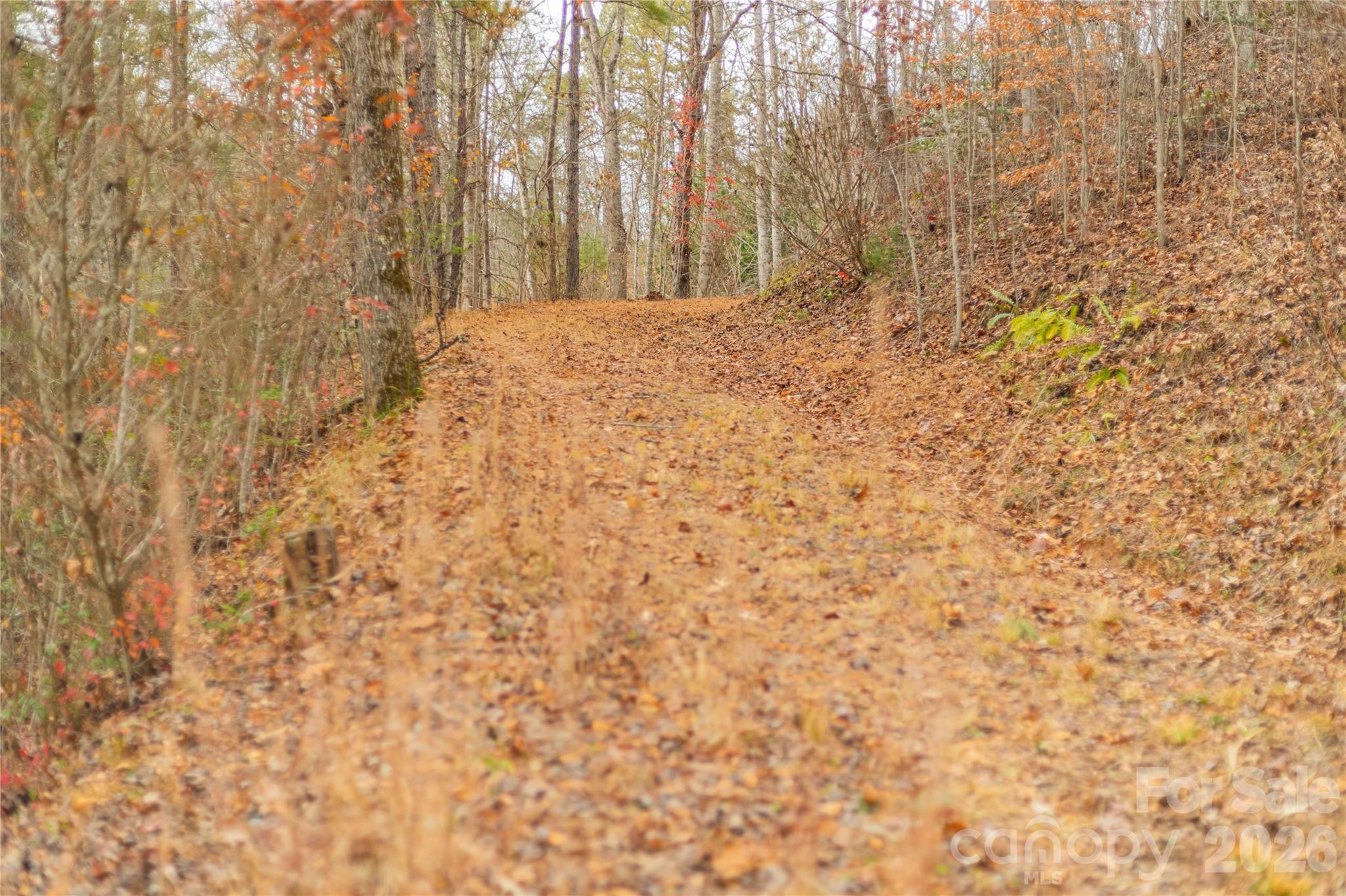 104 Robin Lane Property Photo 10