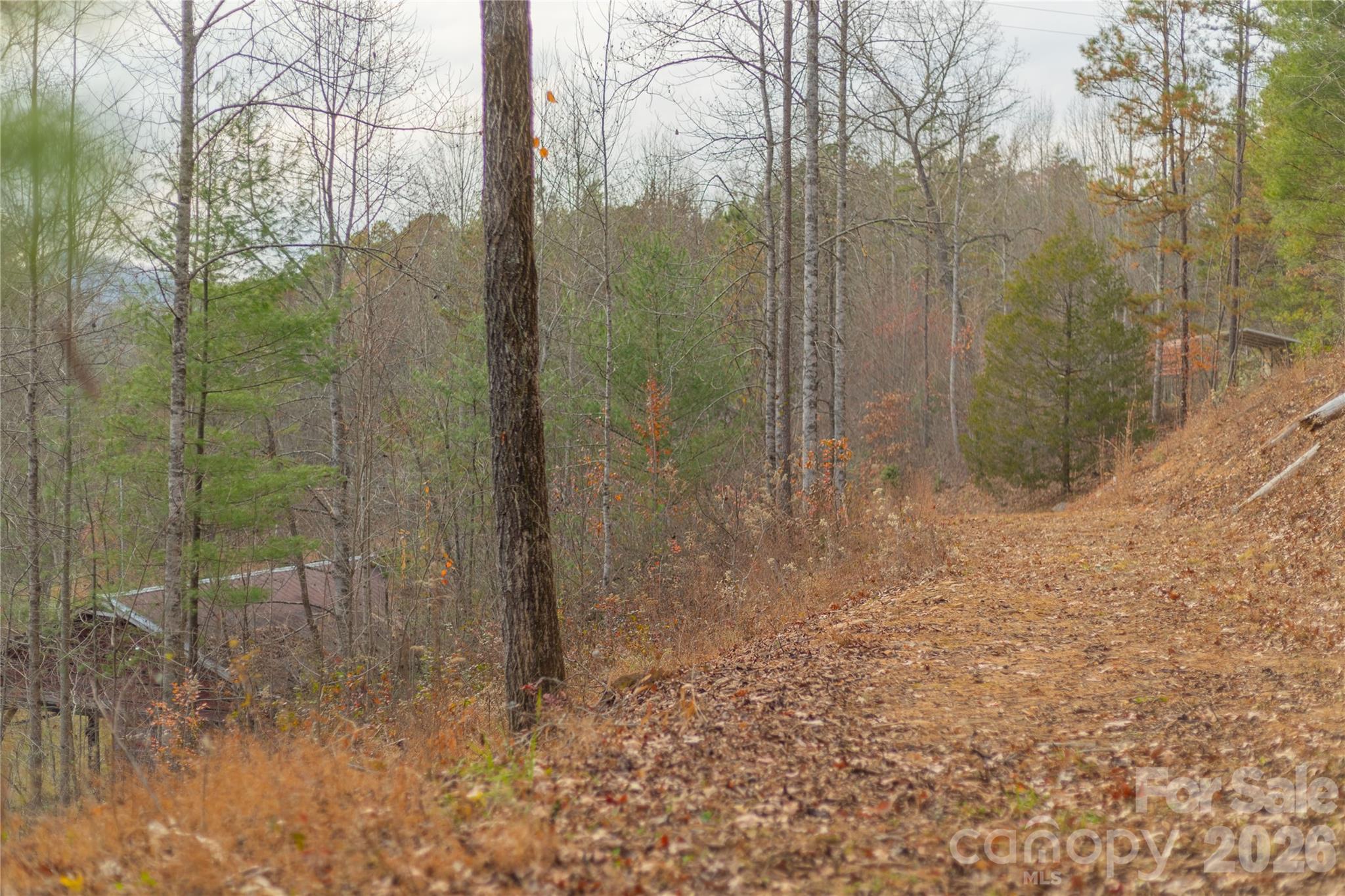 104 Robin Lane Property Photo 44