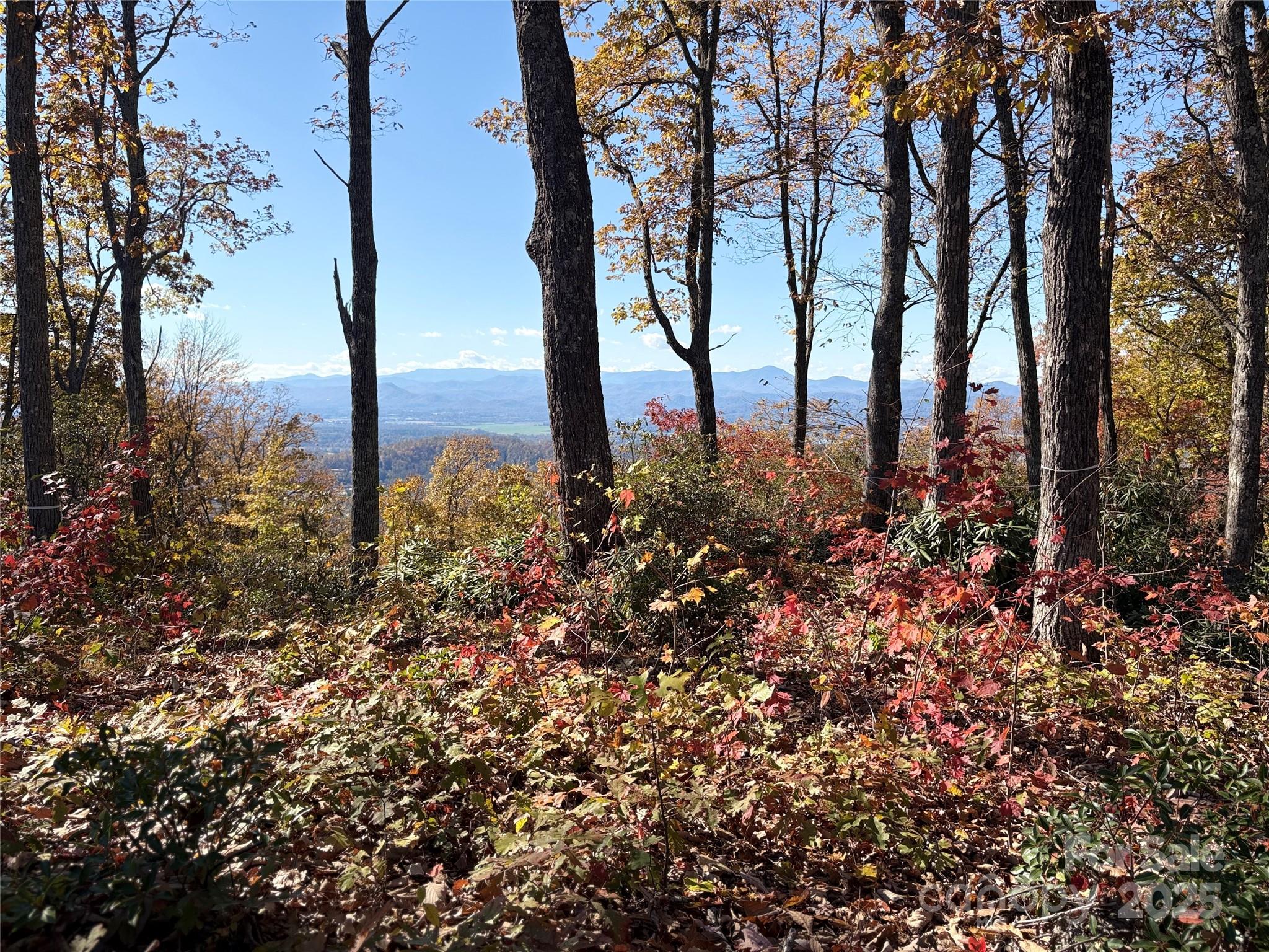 Lot 64 Feather Stone Drive Property Photo 1