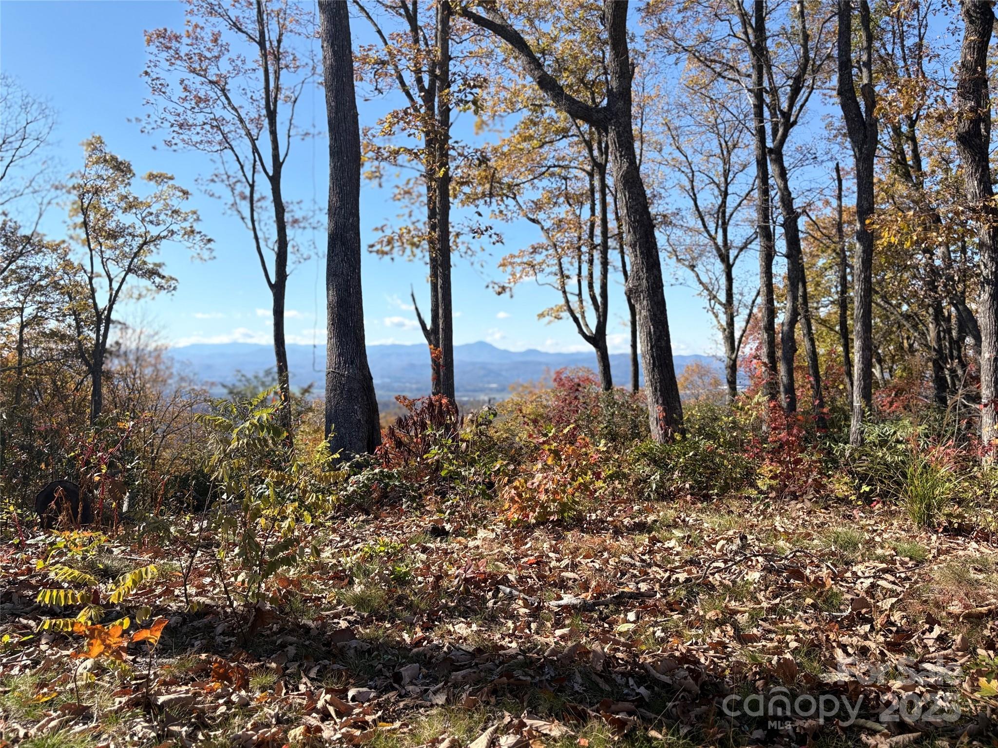 Lot 64 Feather Stone Drive Property Photo 2