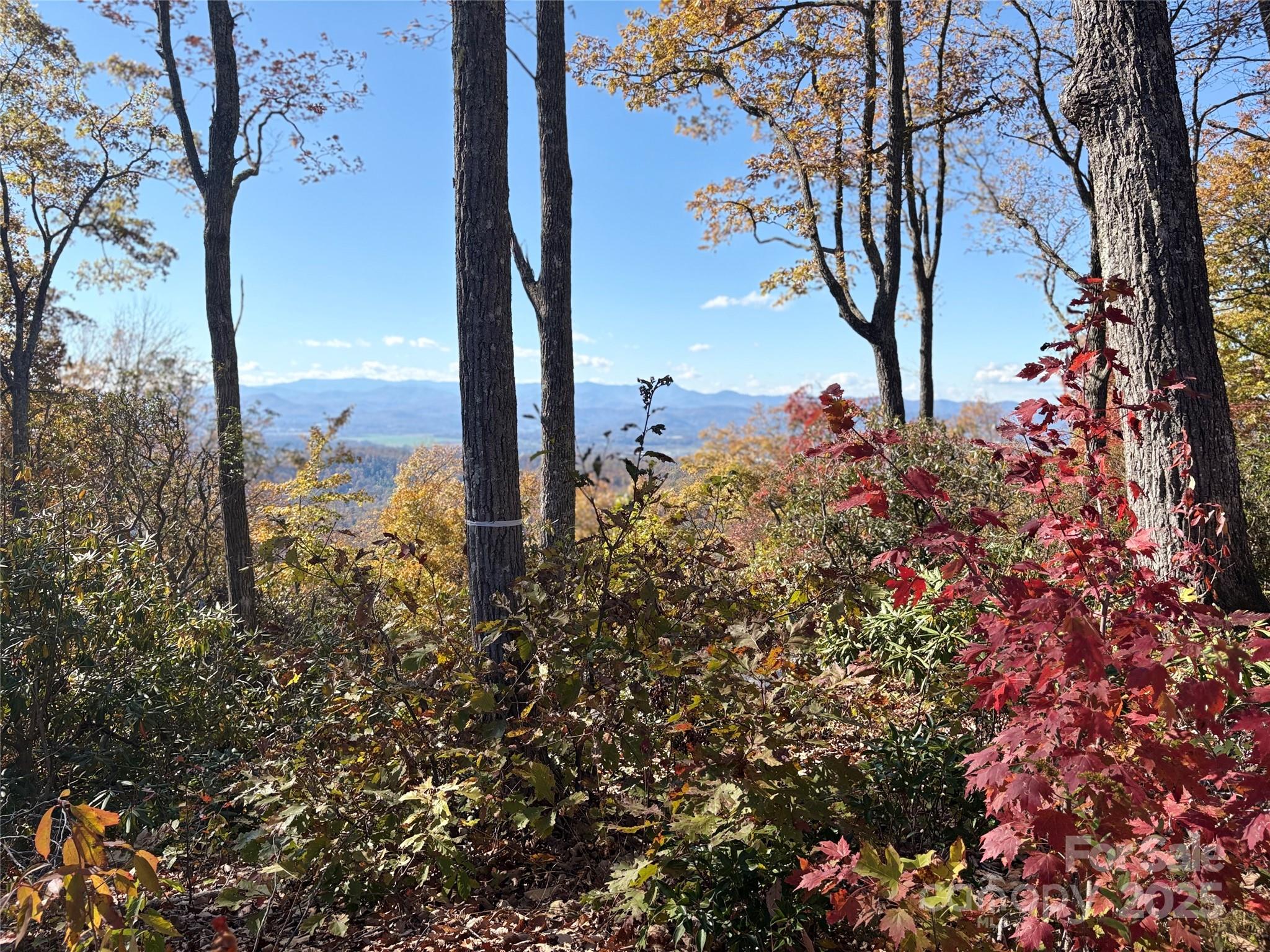 Lot 64 Feather Stone Drive Property Photo 3