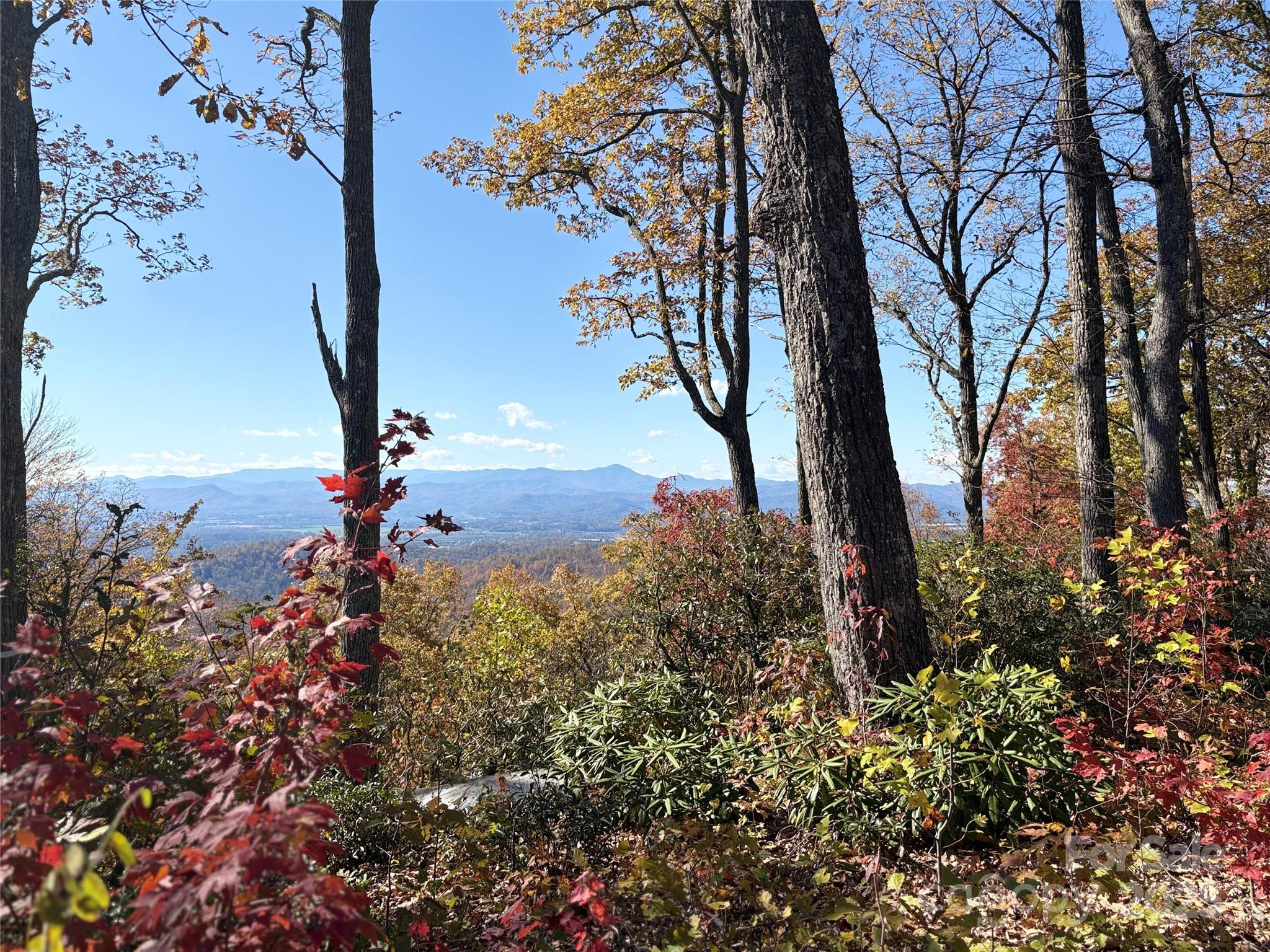 Lot 64 Feather Stone Drive Property Photo 4