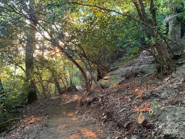 Lot 64 Feather Stone Drive Property Photo 8