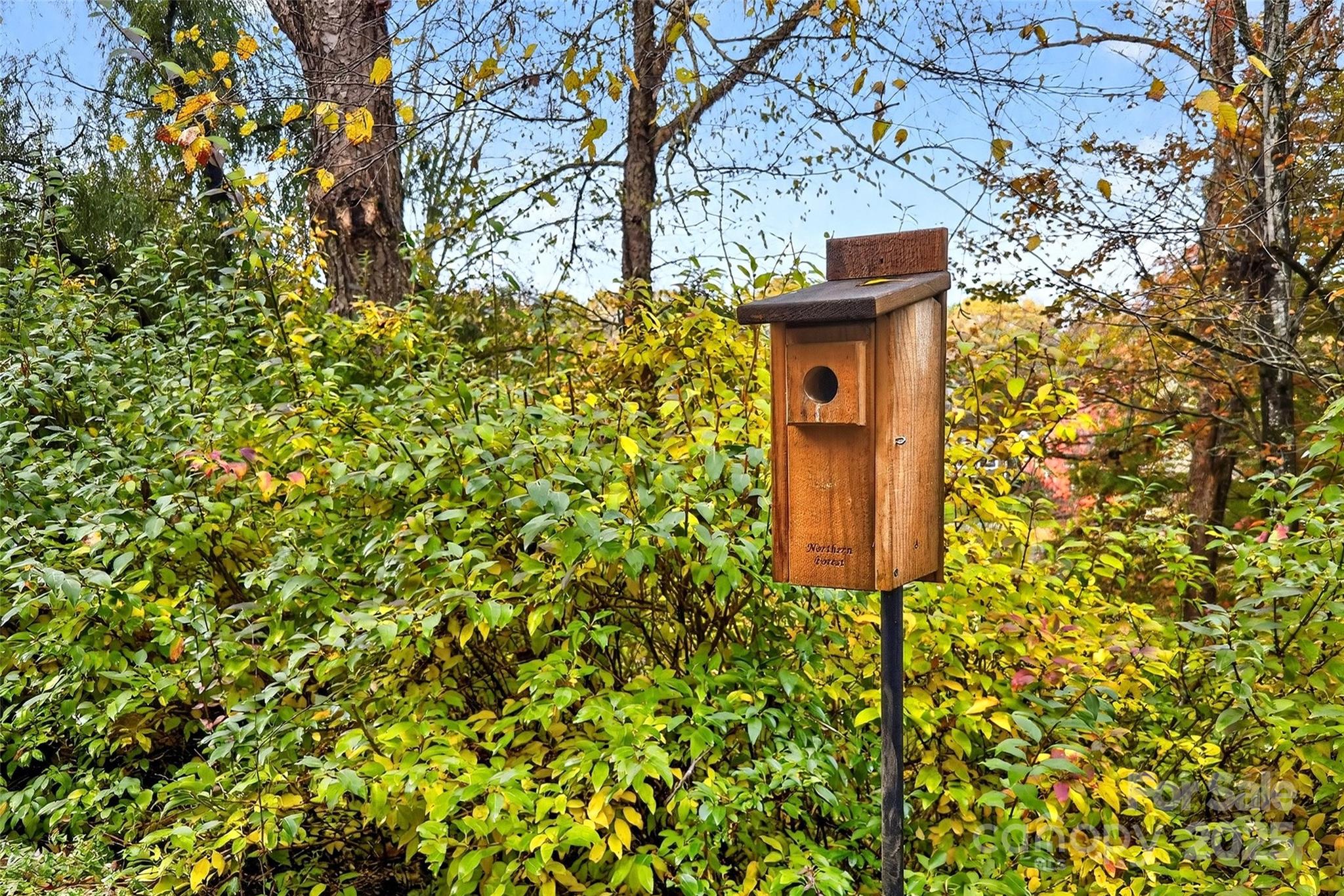 16 Timberlake Drive Property Photo 31