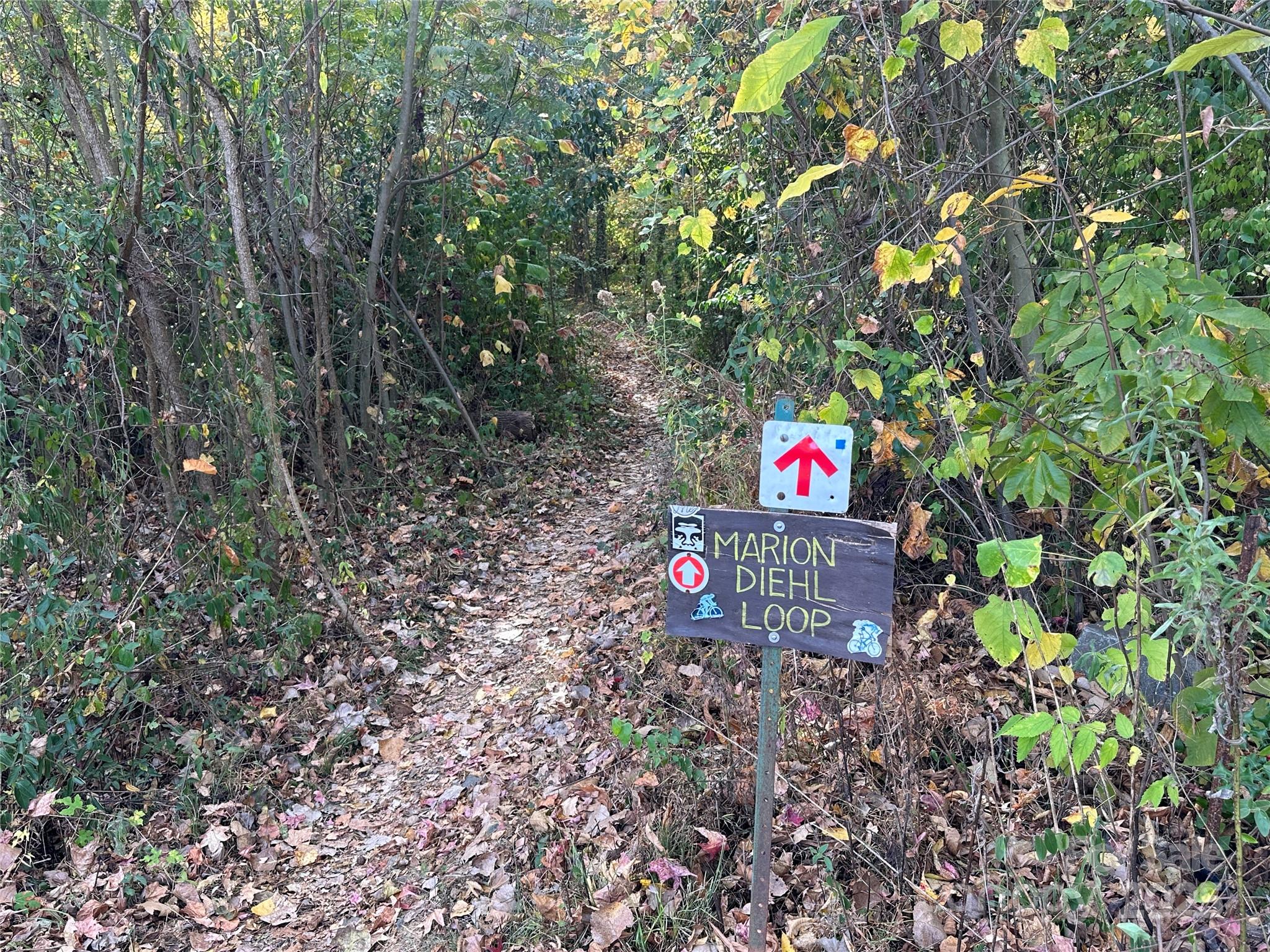 1314 Cortland Road Property Photo 16