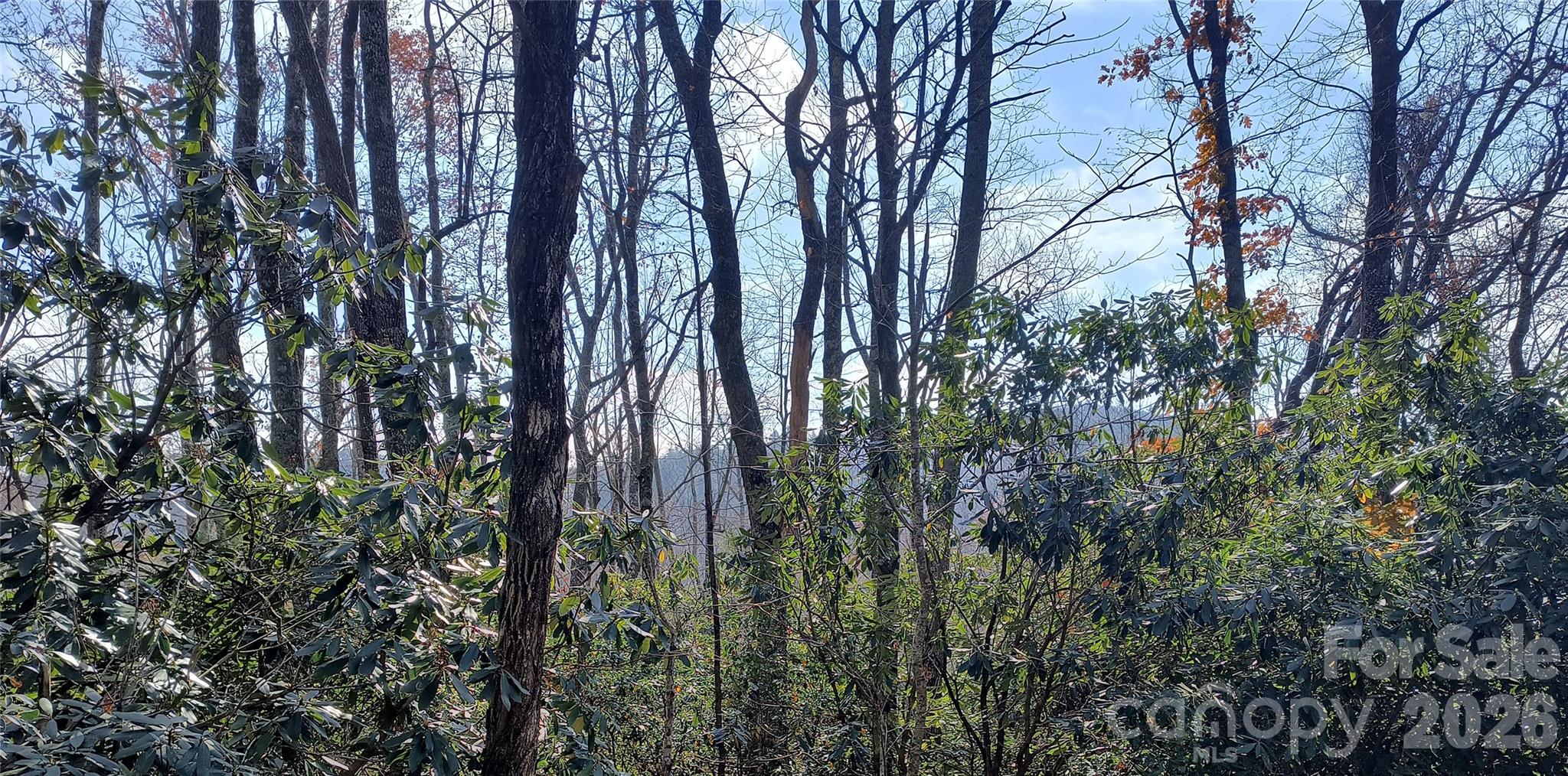 Lot 322 Sunny Drive Property Photo 1