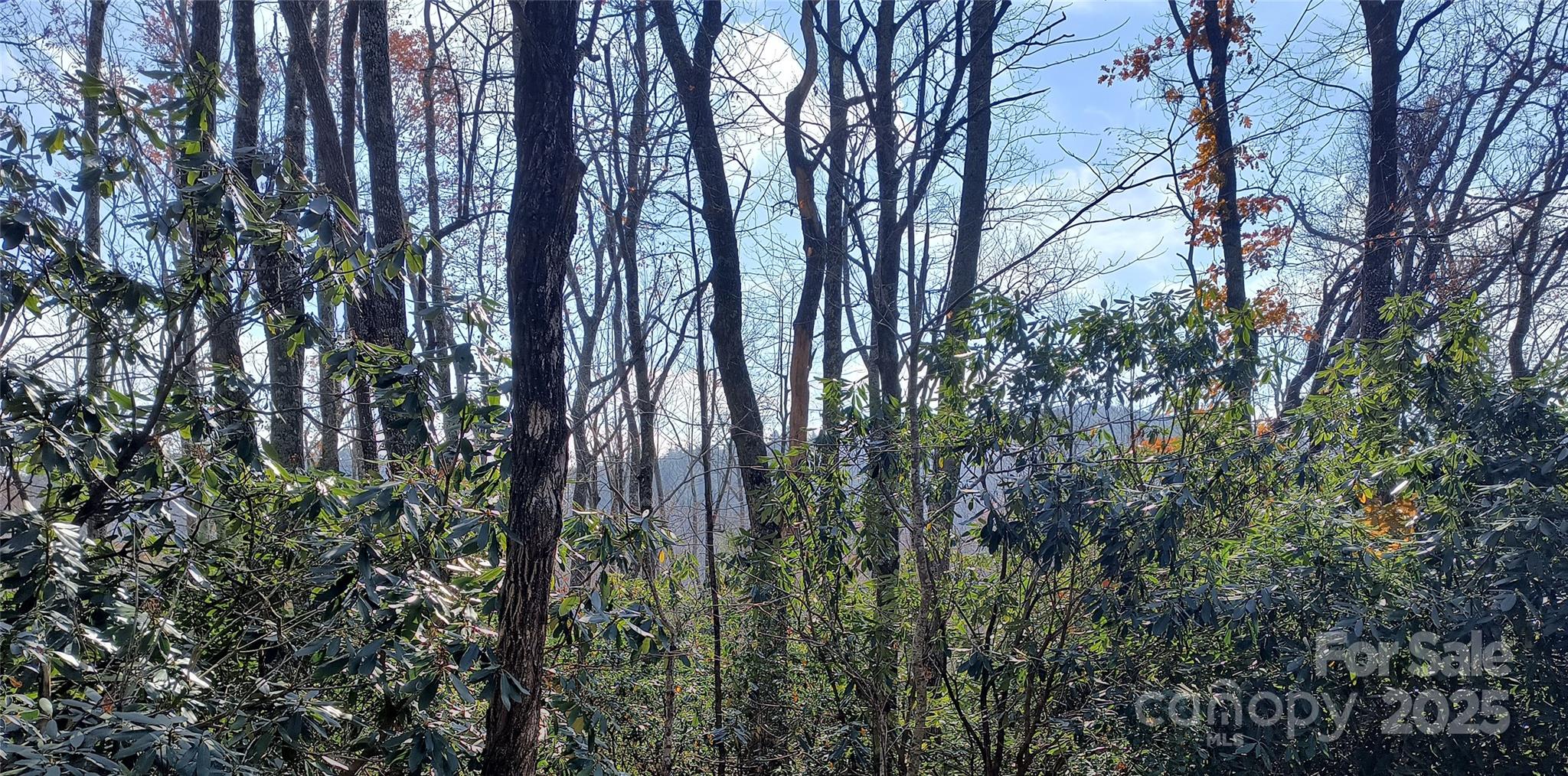 Lot 322 Sunny Drive Property Photo 7