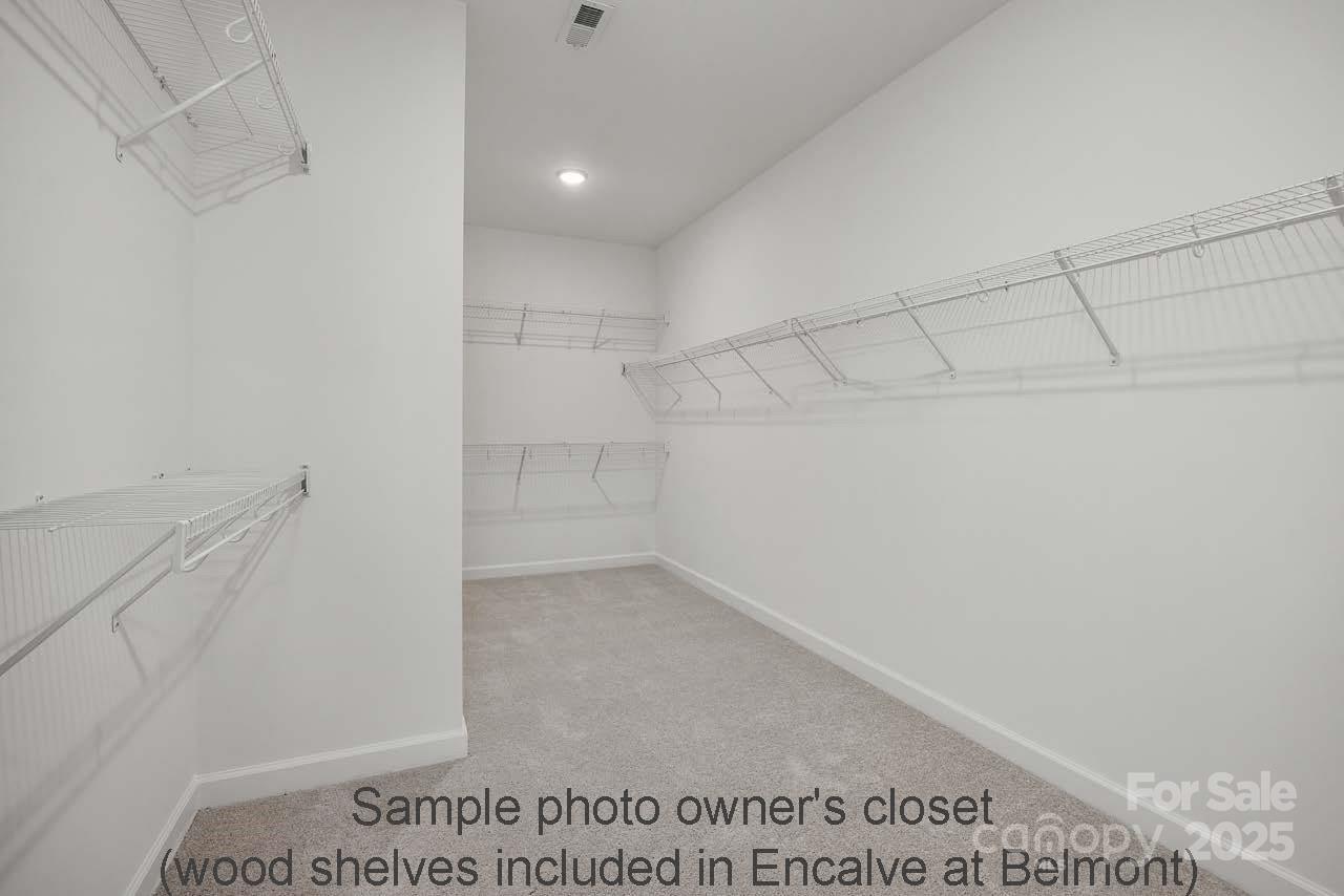 3021 Hayes Ridge Drive 24 Property Photo 15