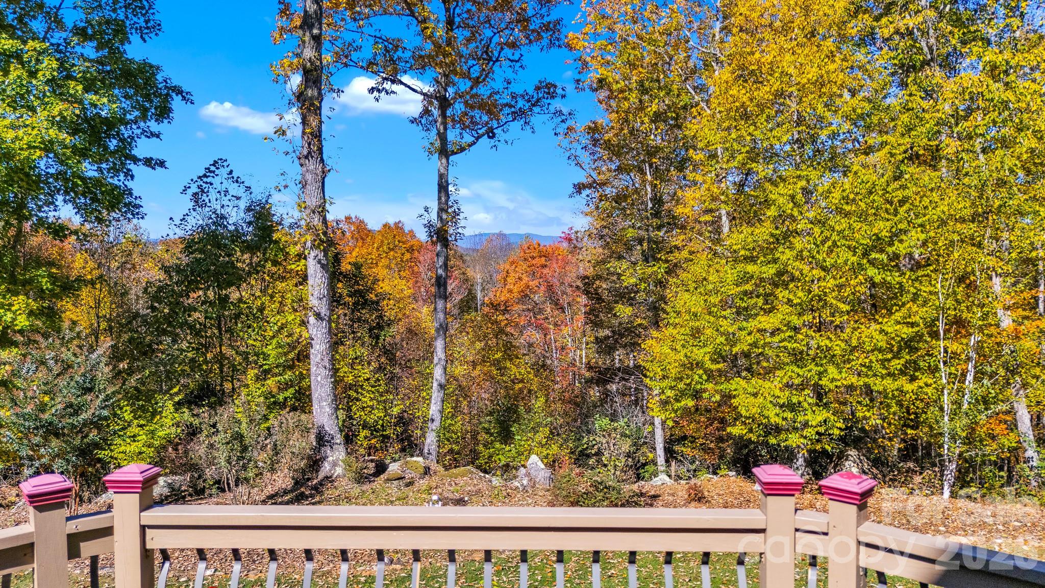 2650 Carson Woods Road Property Photo 37