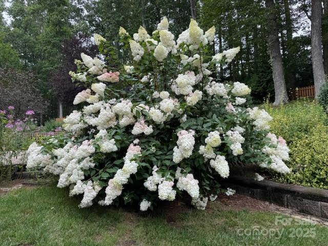 2650 Carson Woods Road Property Photo 41