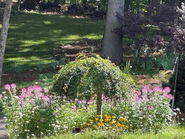 2650 Carson Woods Road Property Photo 46