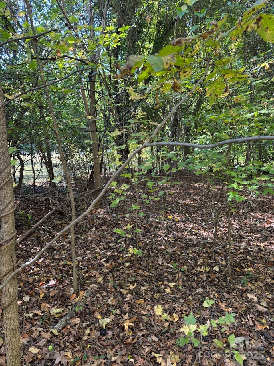 307 Steele Street Property Photo 3