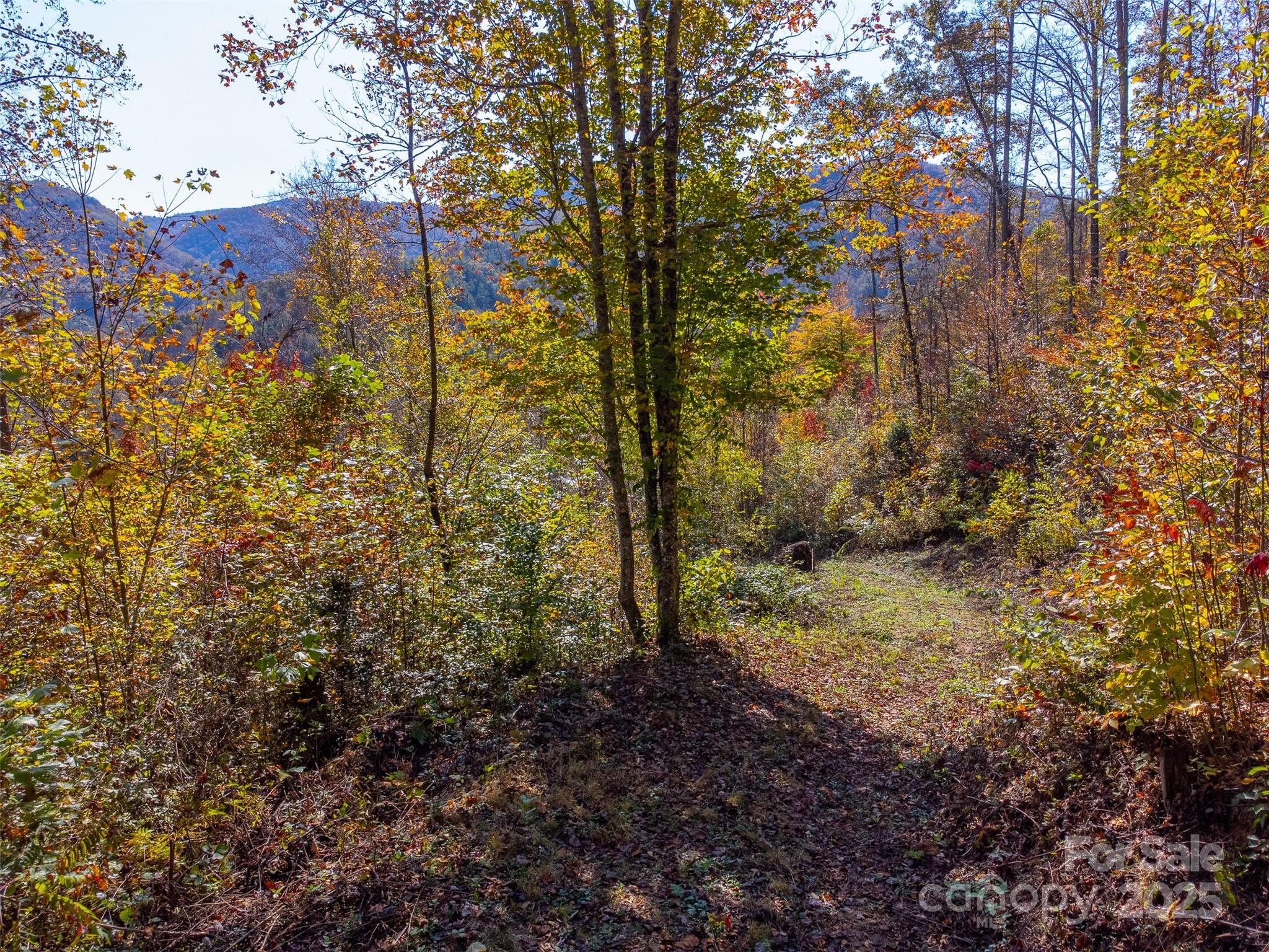 6918 Us 441 Highway Property Photo 17
