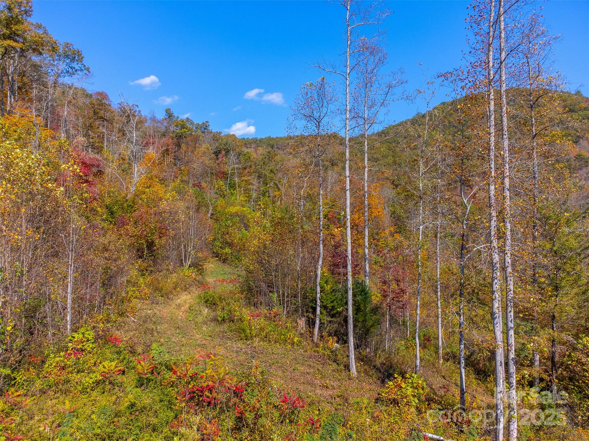 6918 Us 441 Highway Property Photo 20