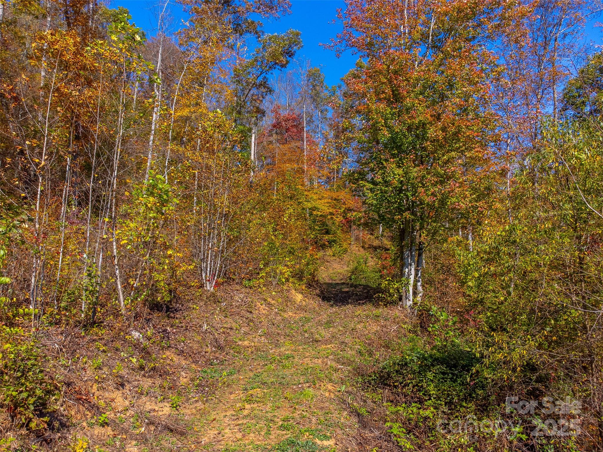 6918 Us 441 Highway Property Photo 24