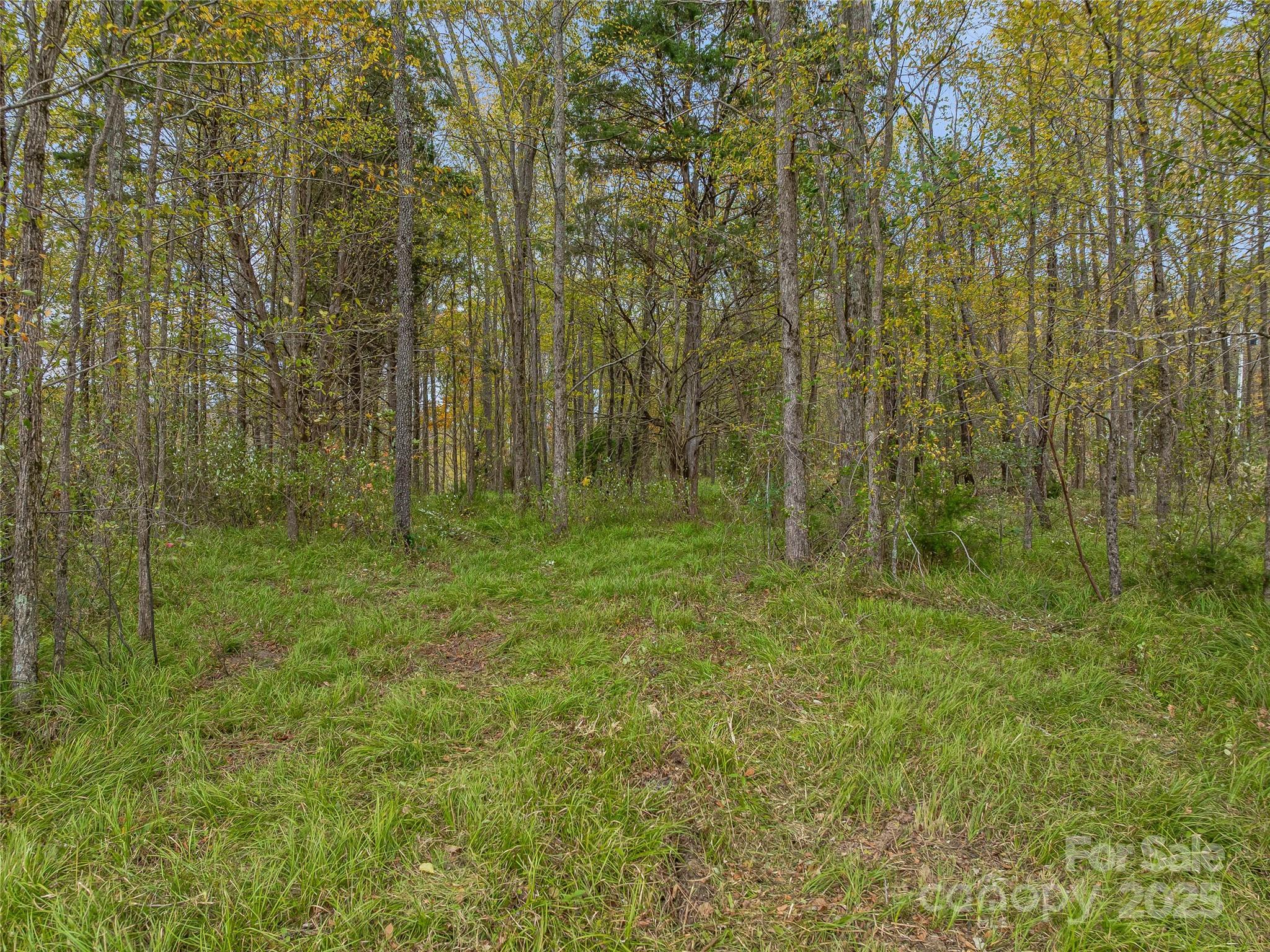 1640, 1641, 1642 River Road Property Photo 47