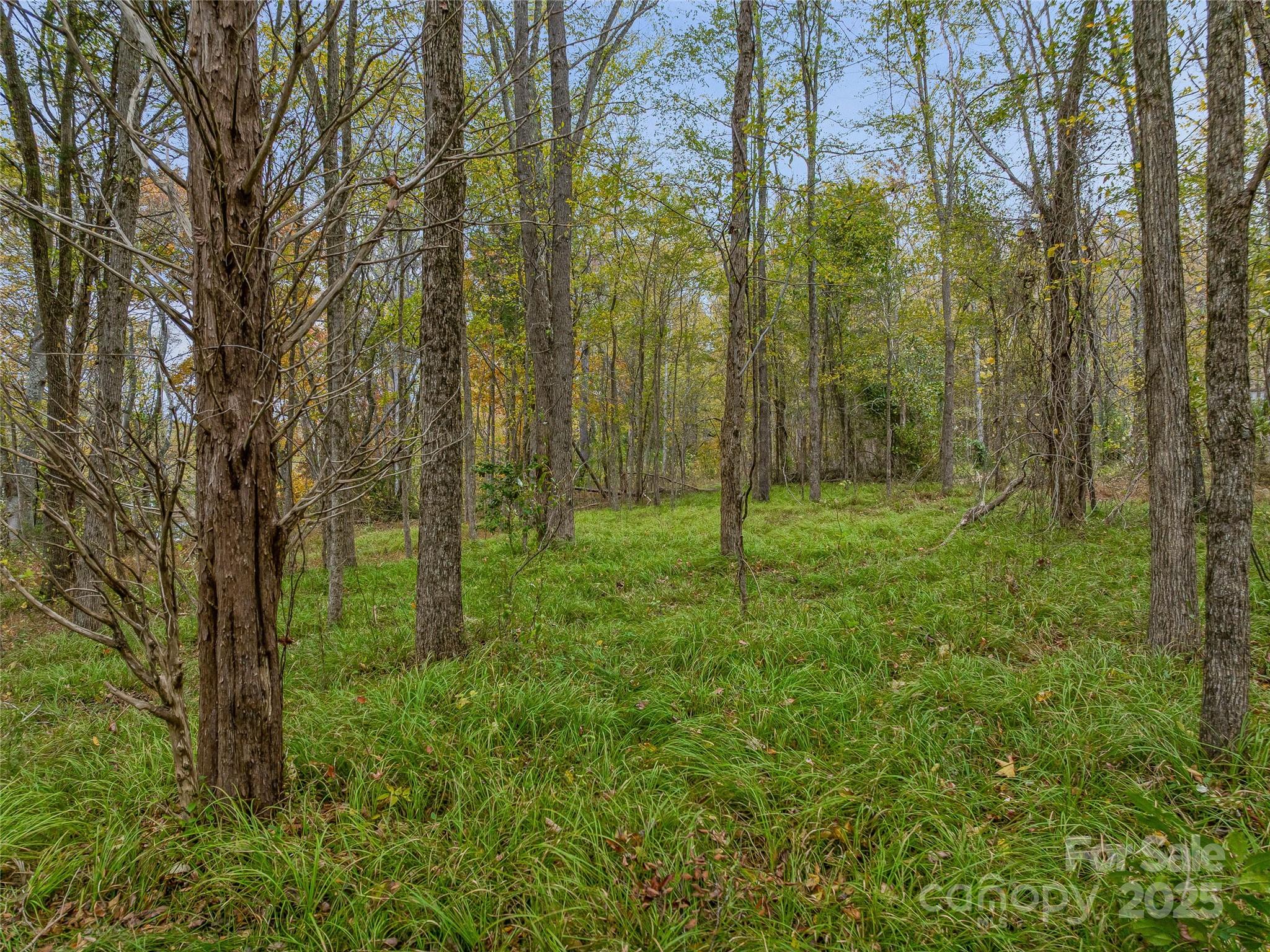 1640, 1641, 1642 River Road Property Photo 48