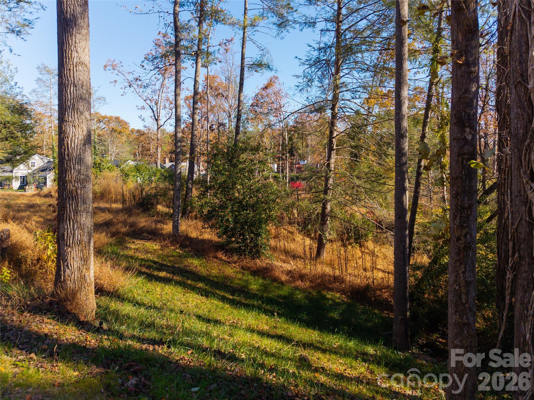 50 Forest Road Property Photo 3