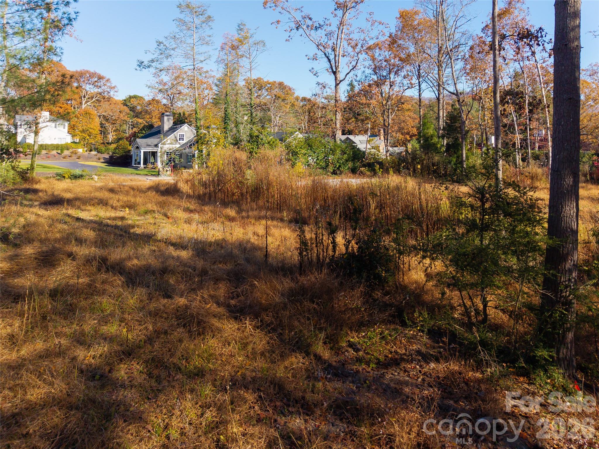 50 Forest Road Property Photo 4